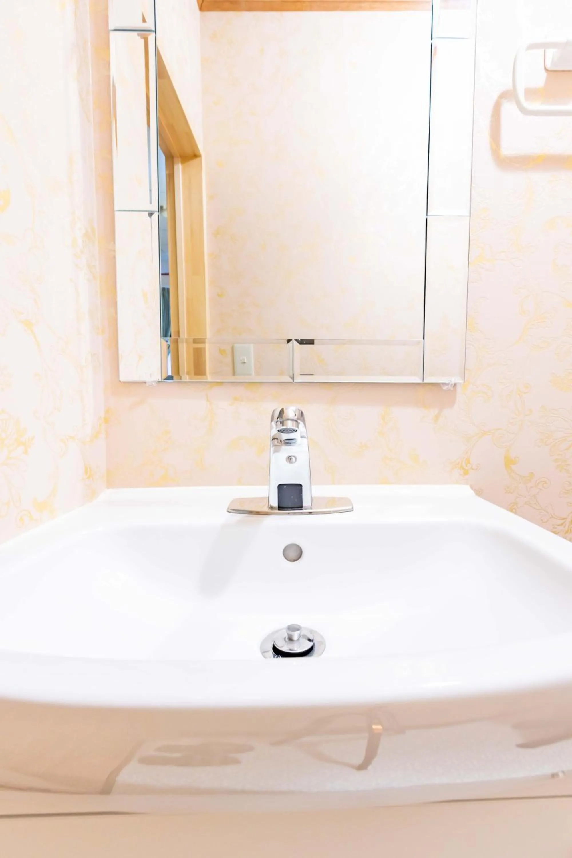 Photo of the whole room in Senjoarashi