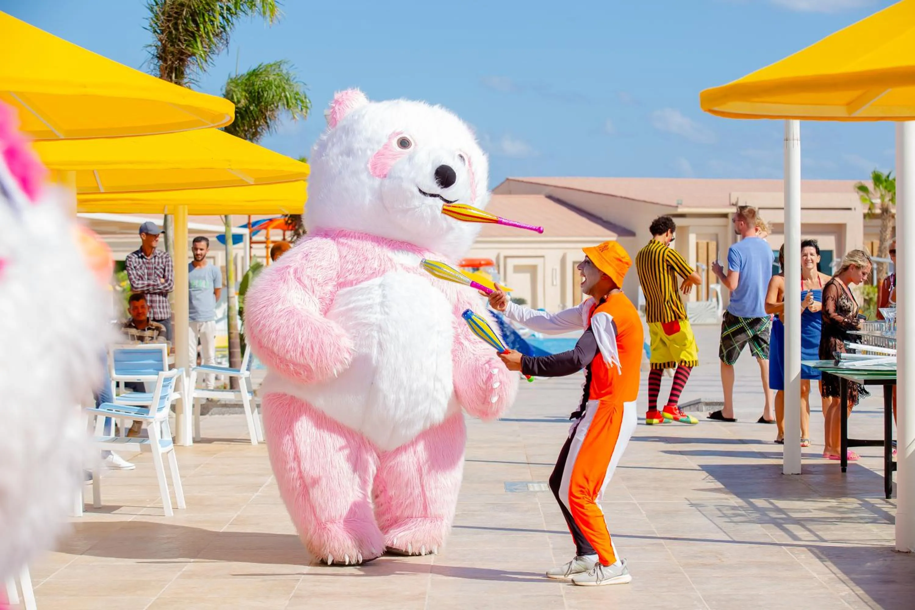 Day in Pickalbatros Sea World Resort - Marsa Alam