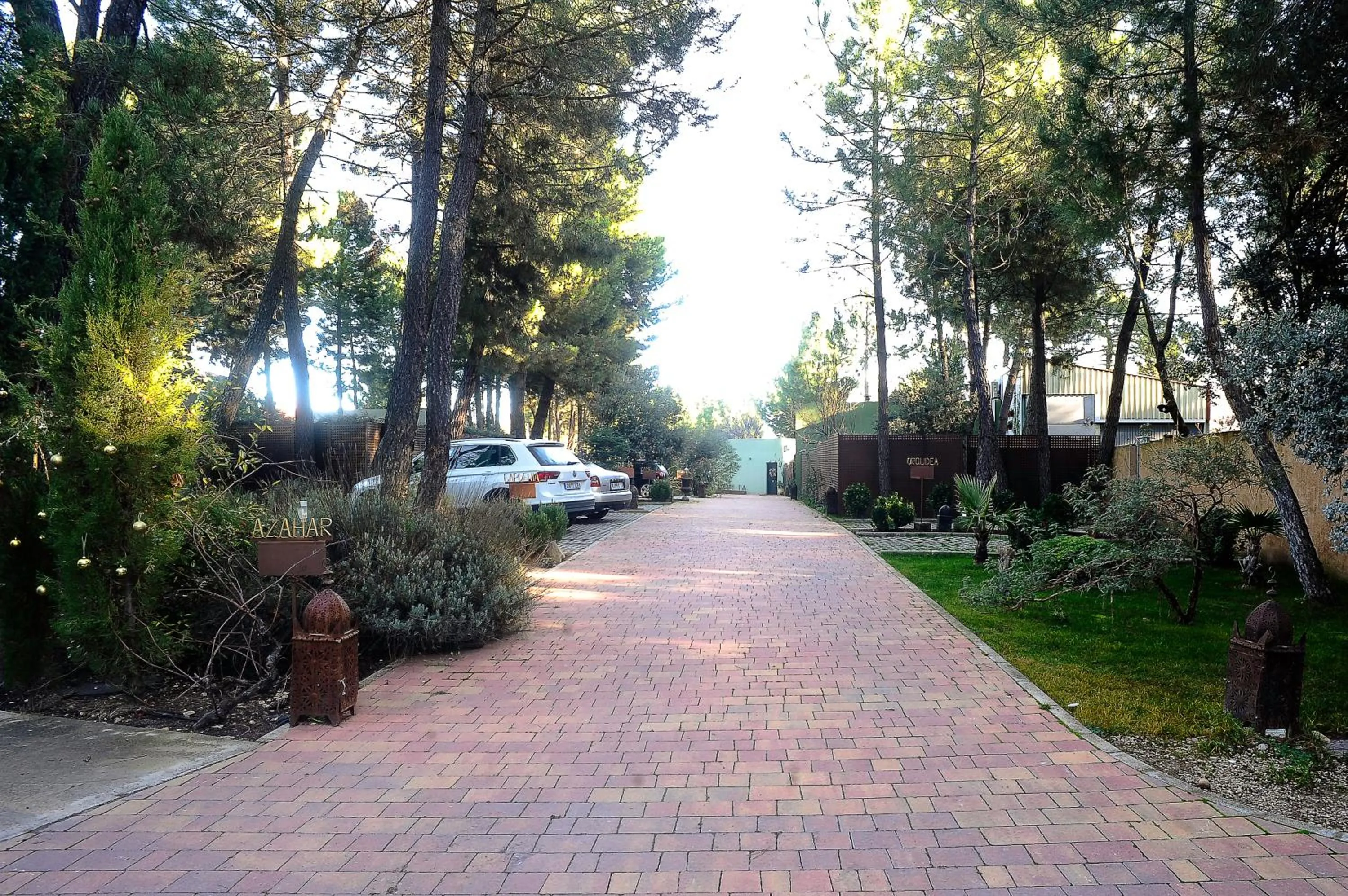Garden in Hotel Boutique Pinar by Bossh! Hotels