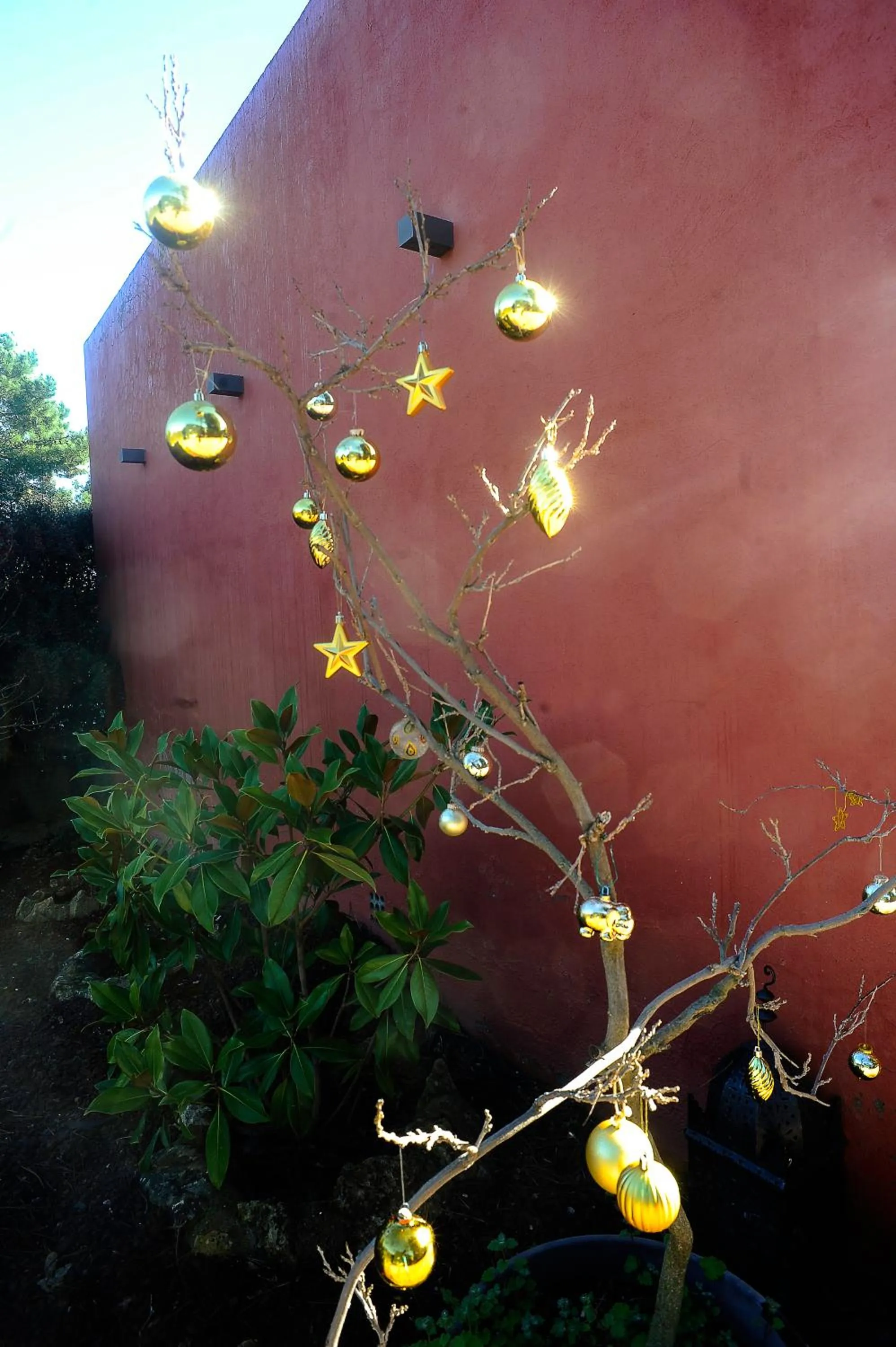 Garden in Hotel Boutique Pinar by Bossh! Hotels