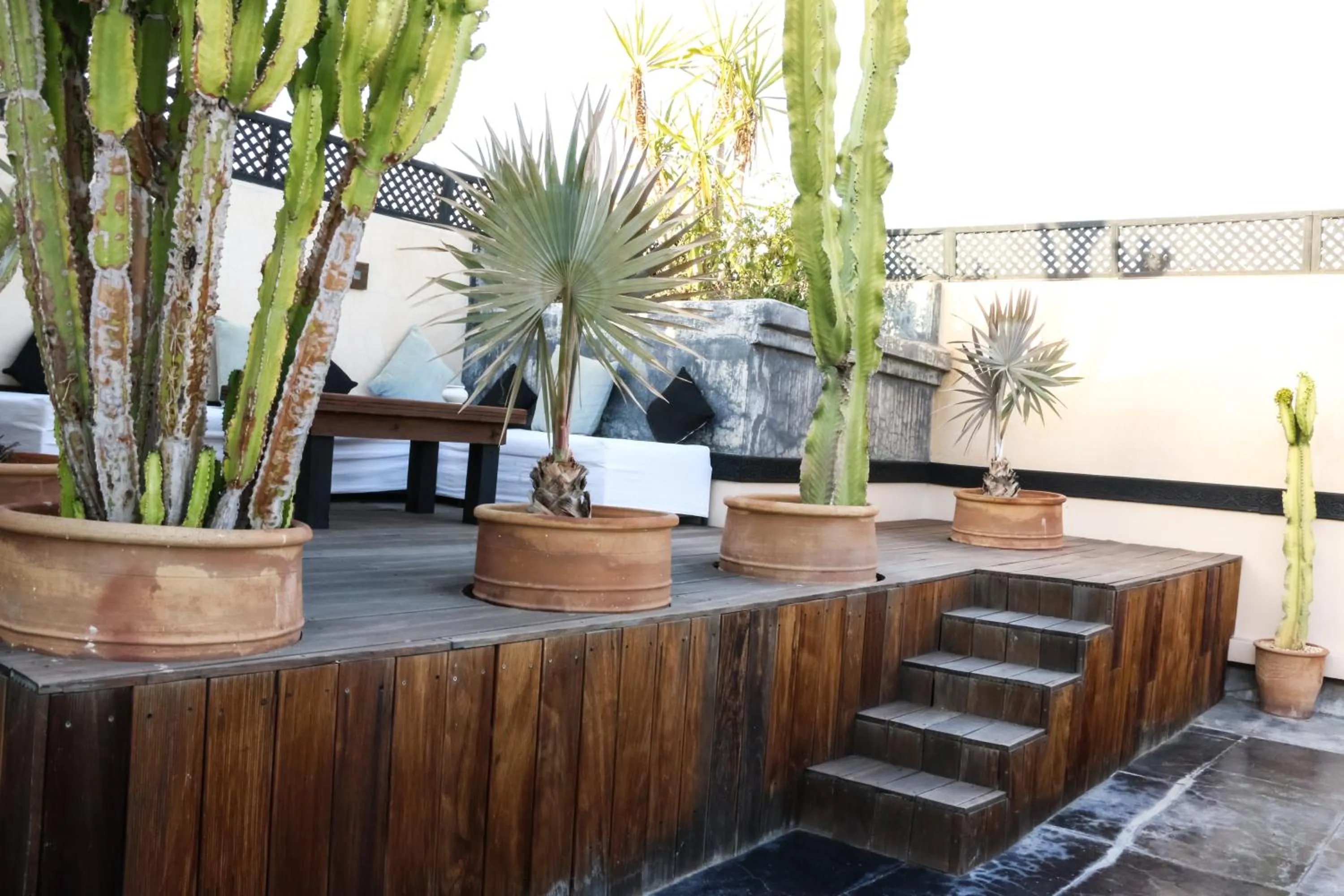 Patio in Riad Bellamane Marrakech