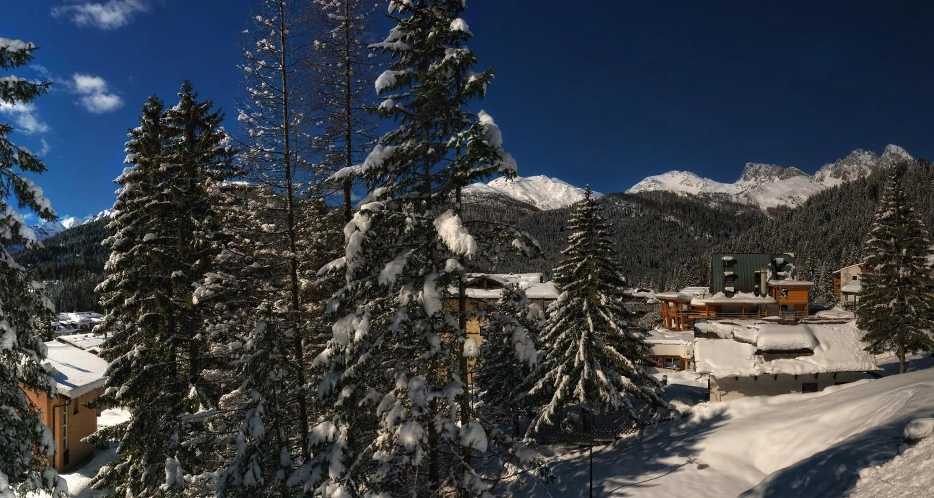 Day in Hotel Paladin