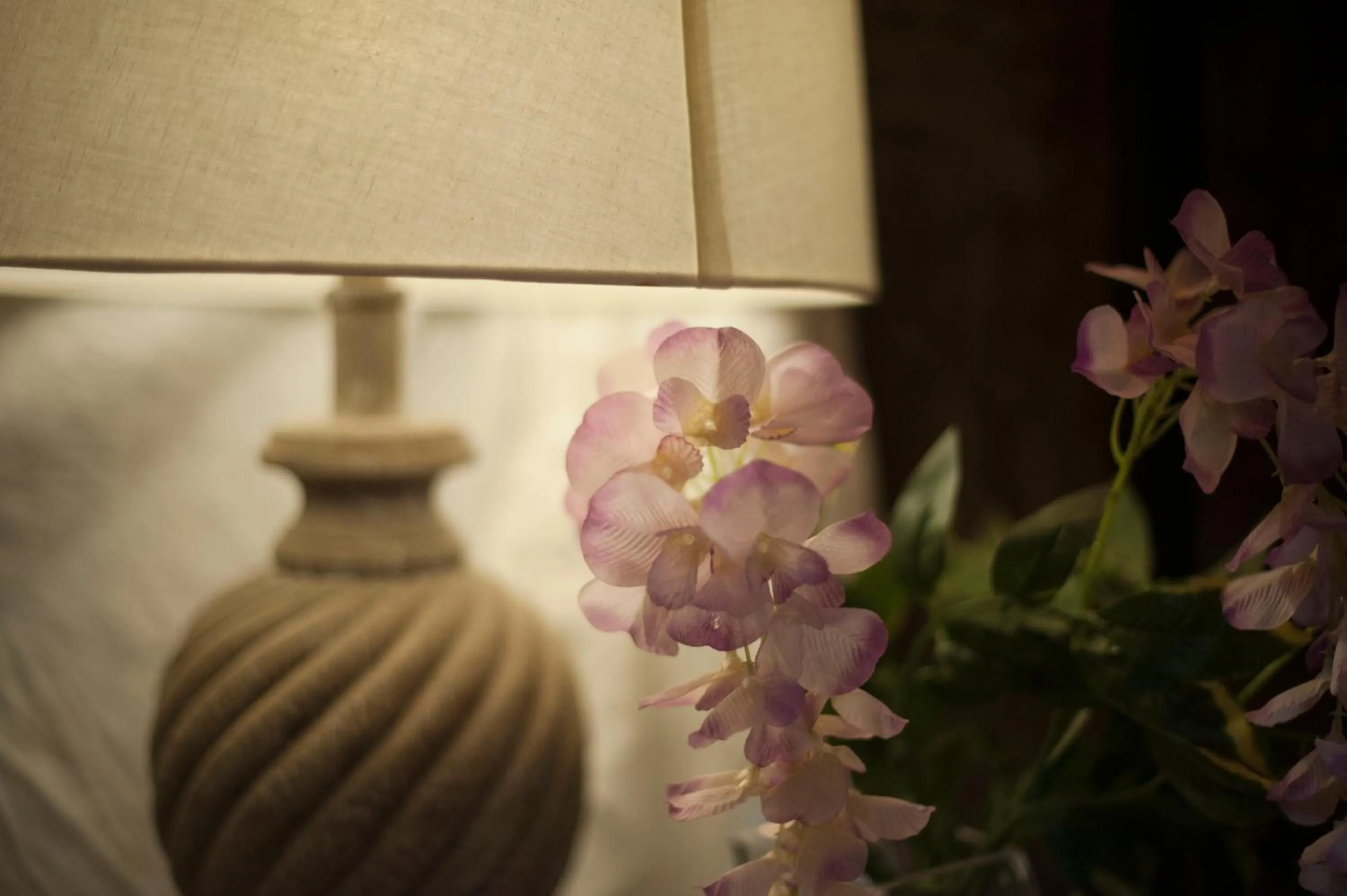 Other in Les Chambres de Amelie B&B