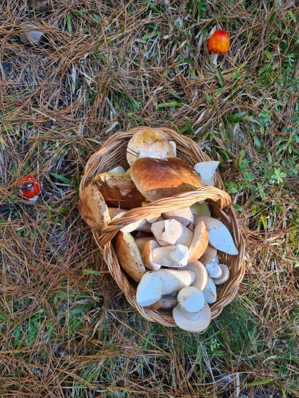 Day in Parador Cambará do Sul