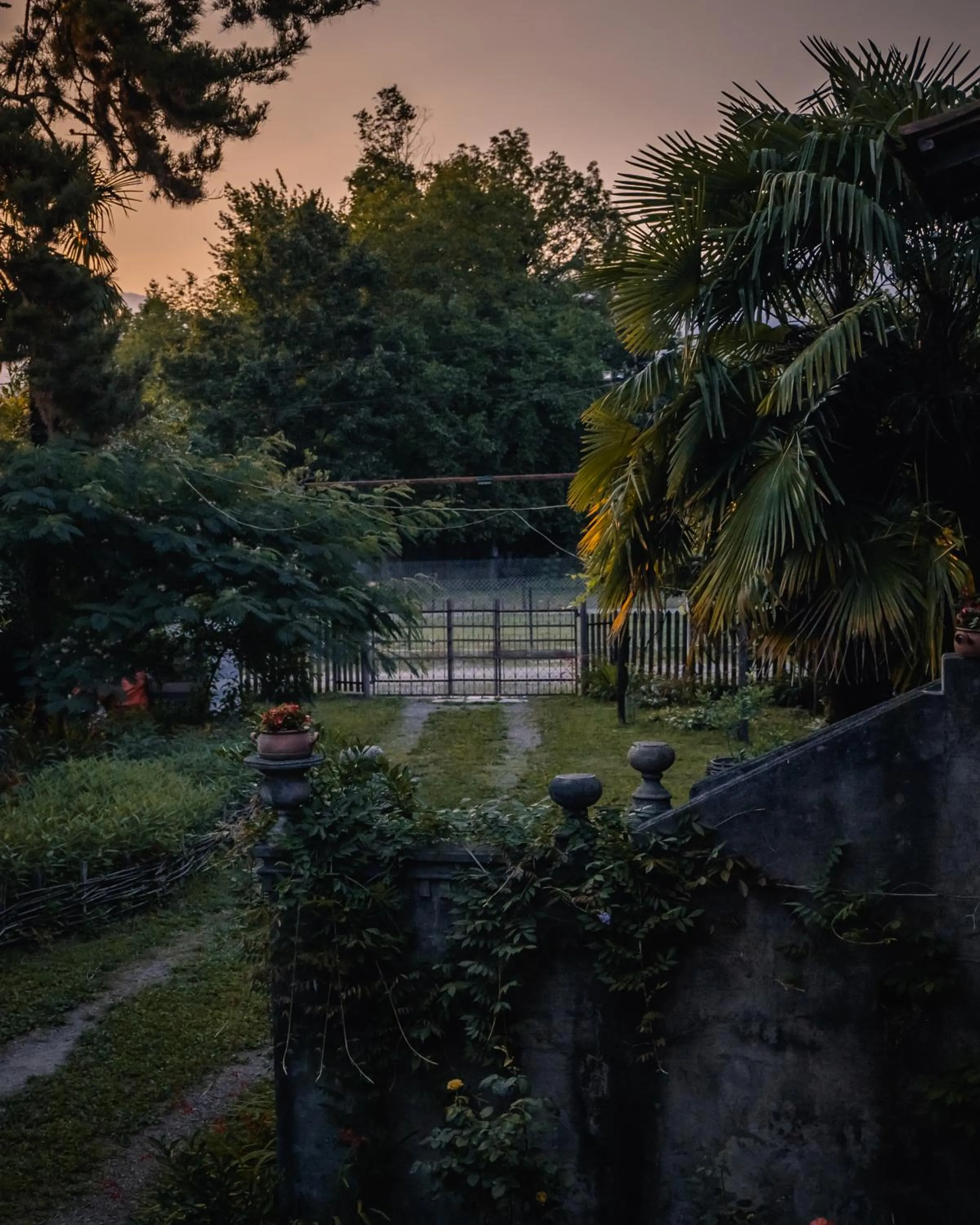 Garden in Menabde Winery