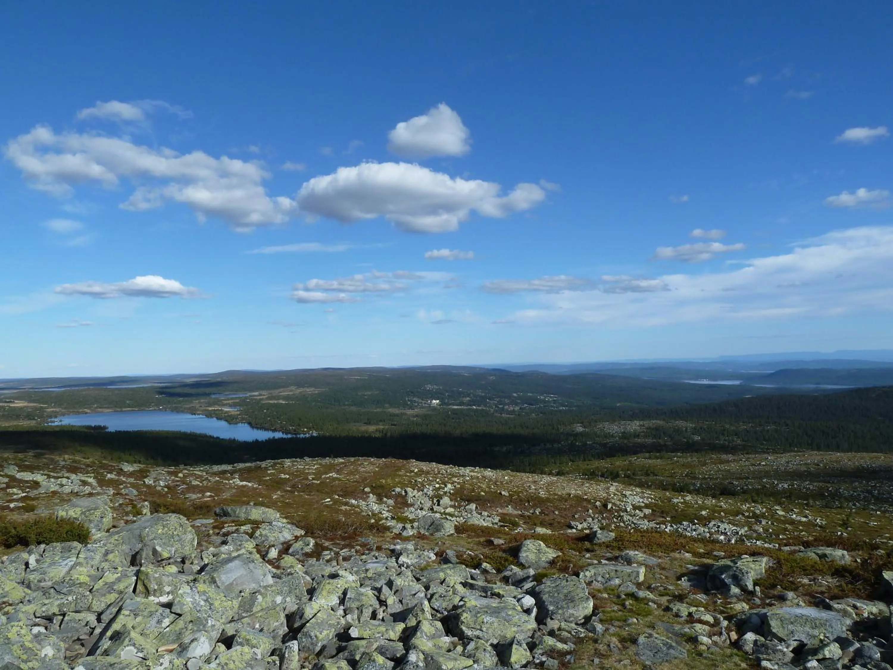 Fishing in Nordseter Hytter