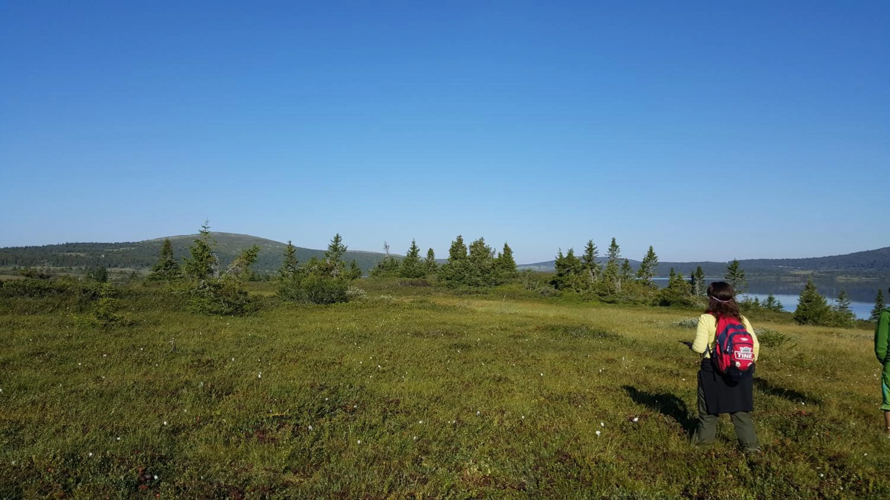 Natural landscape in Nordseter Hytter