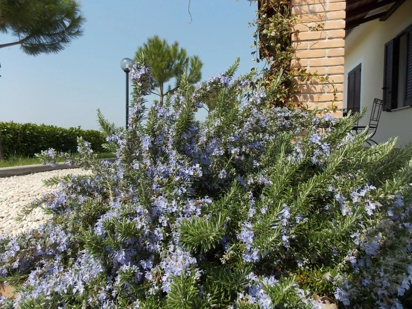 Patio in Residence Terra Dei Santi Country House