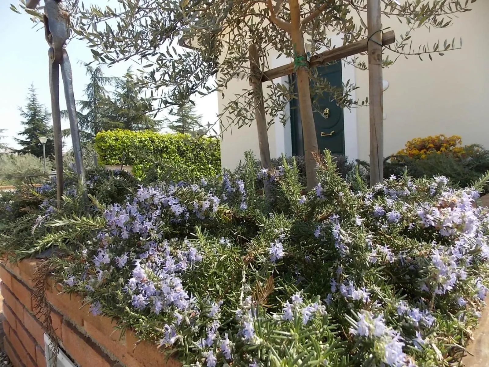 Patio in Residence Terra Dei Santi Country House