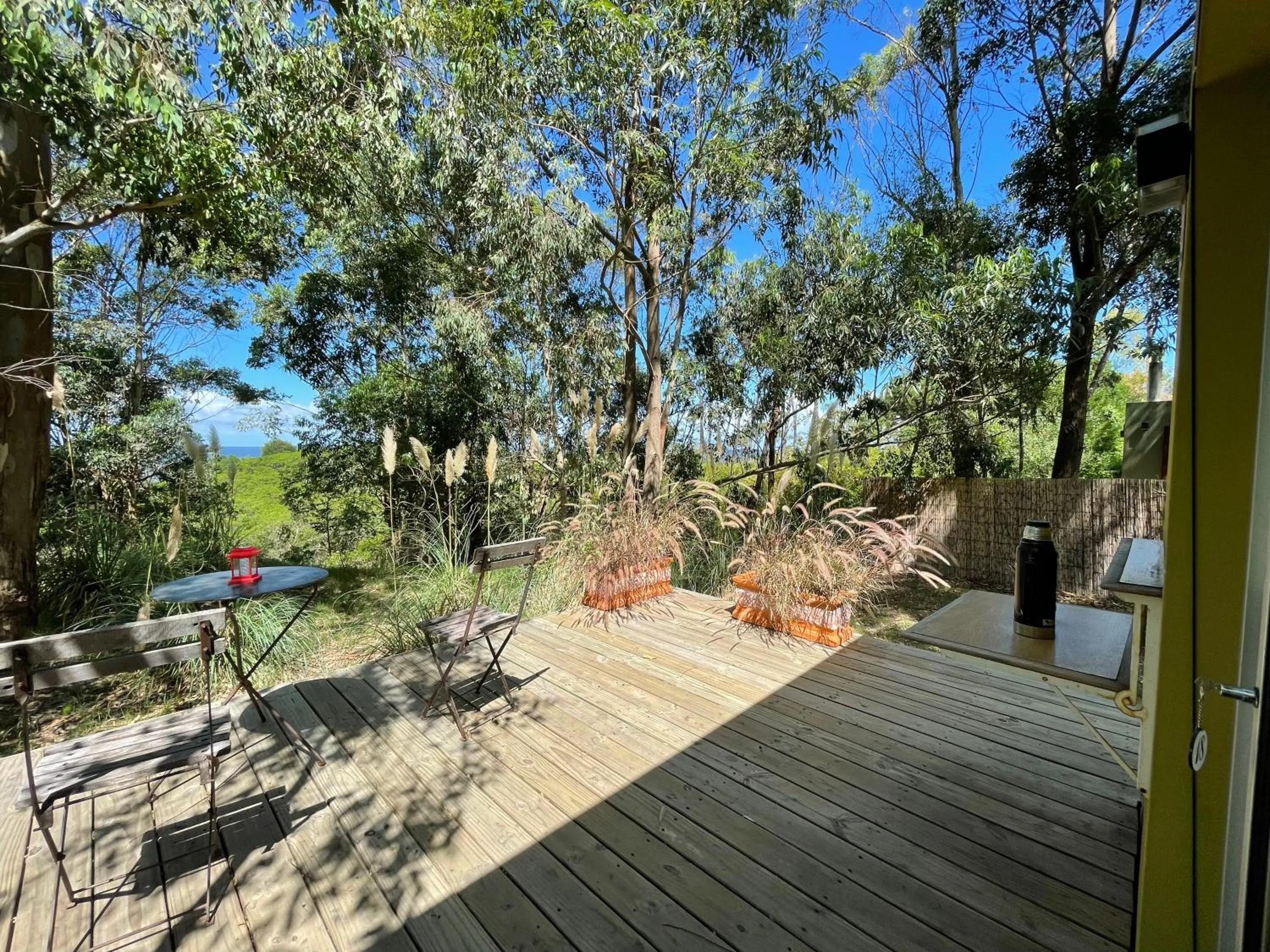 Natural landscape in Fortin de Santa Rosa