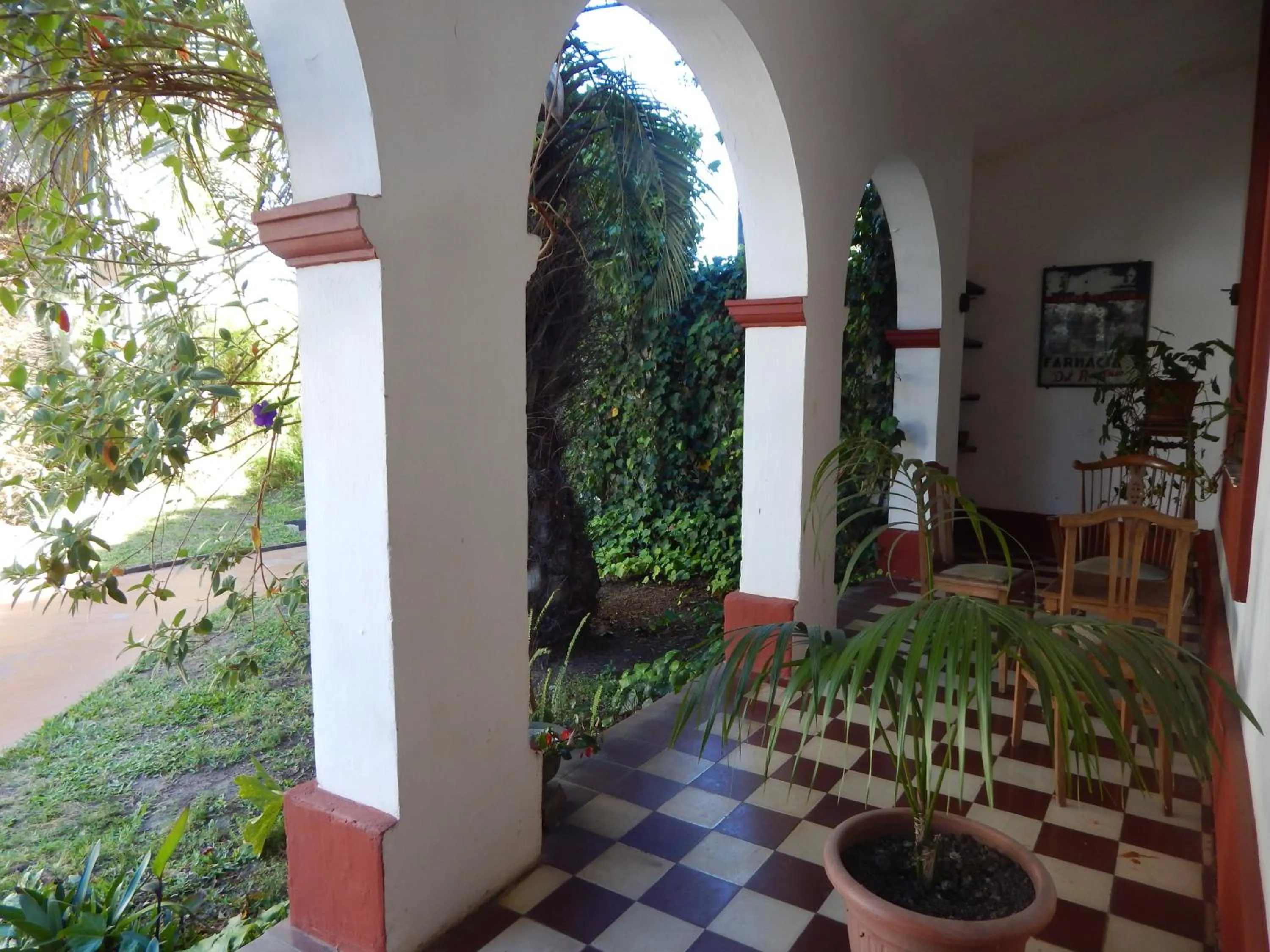Garden in Fortin de Santa Rosa
