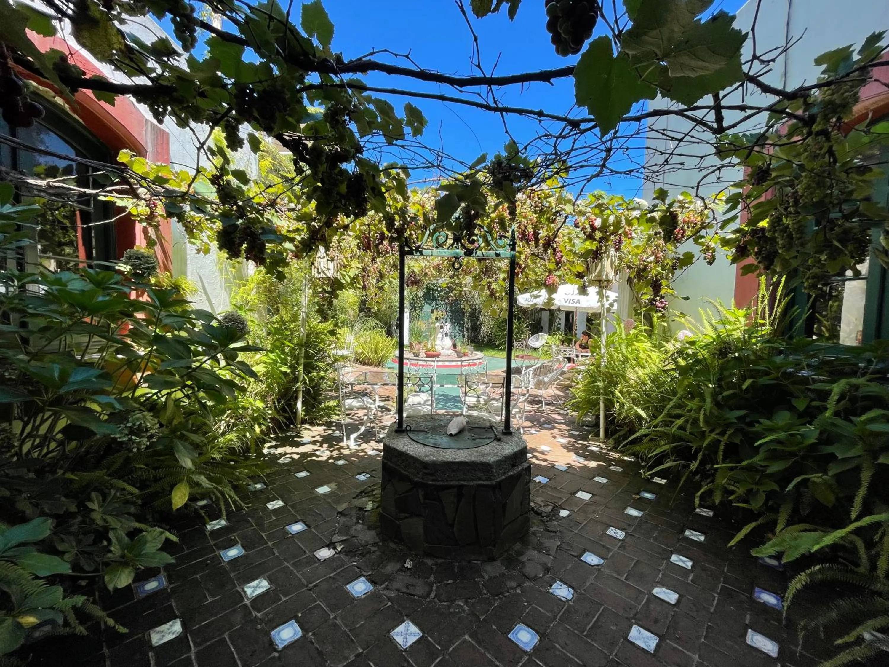 Garden in Fortin de Santa Rosa