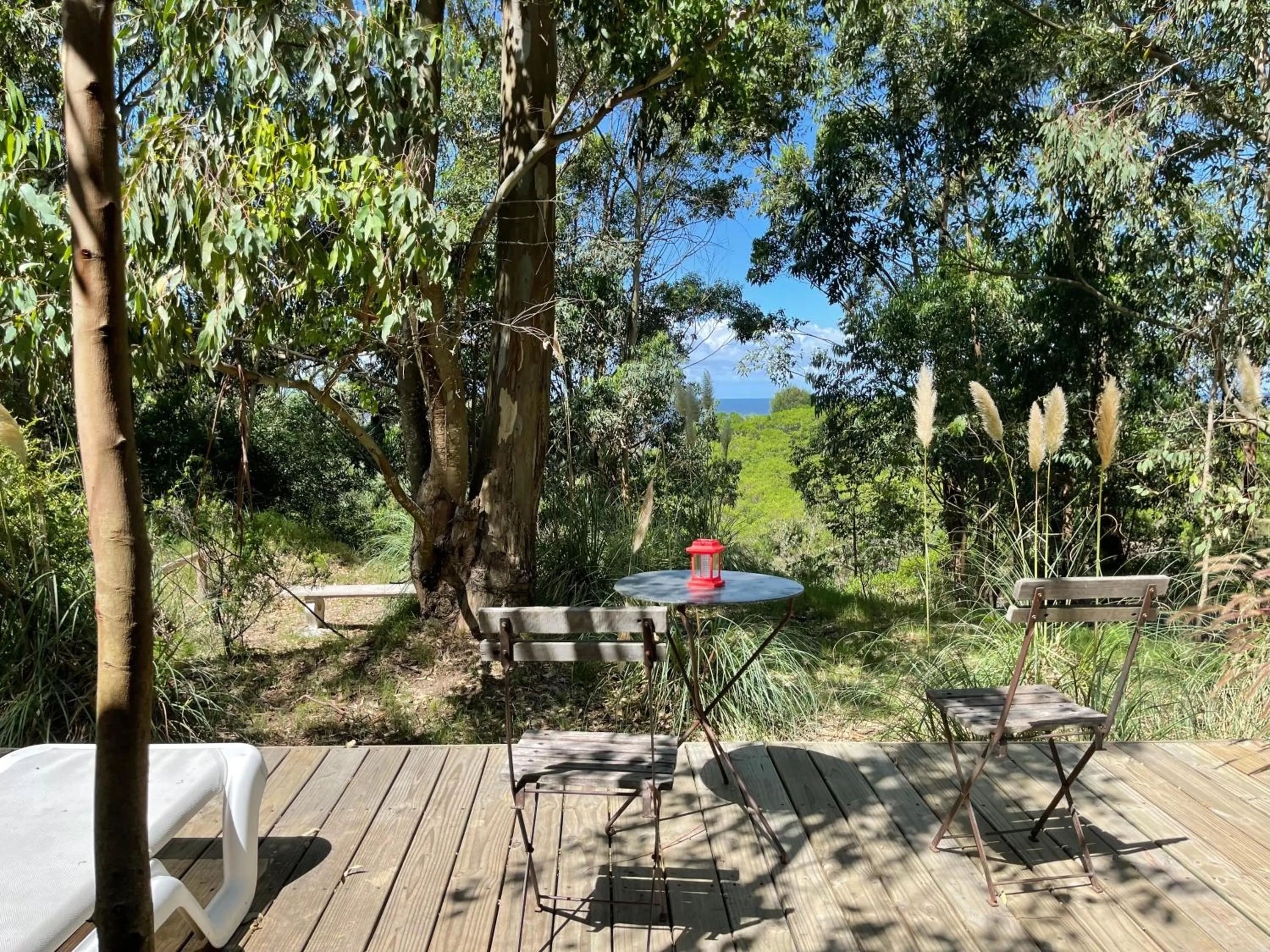 Garden view in Fortin de Santa Rosa