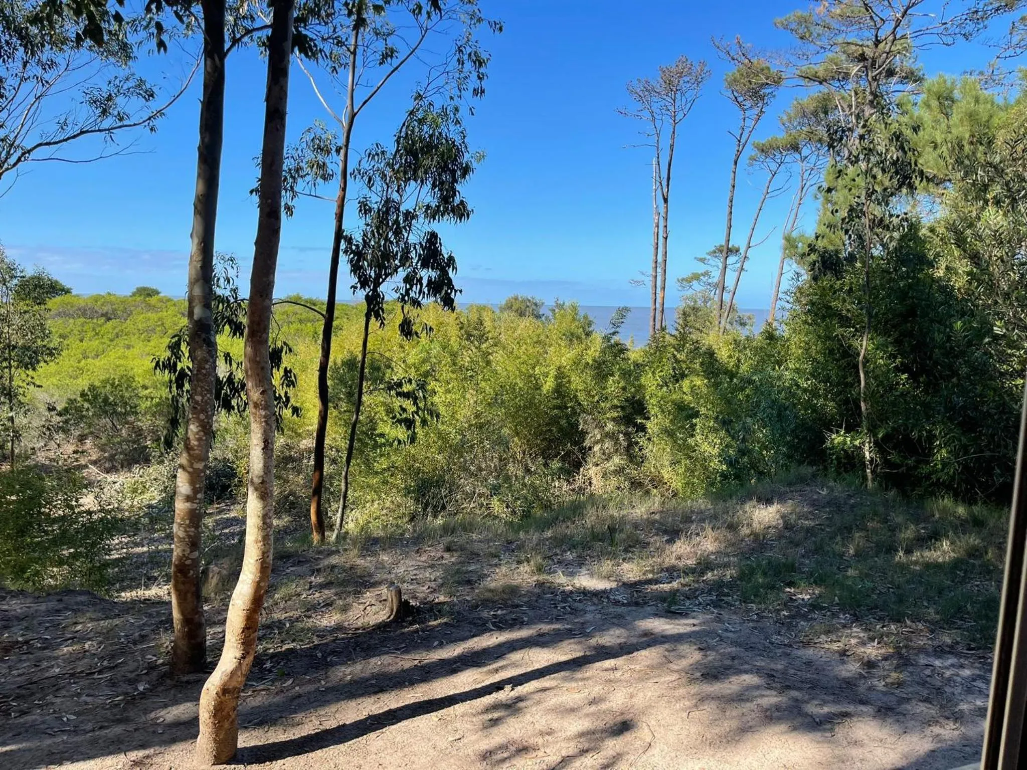 Other in Fortin de Santa Rosa