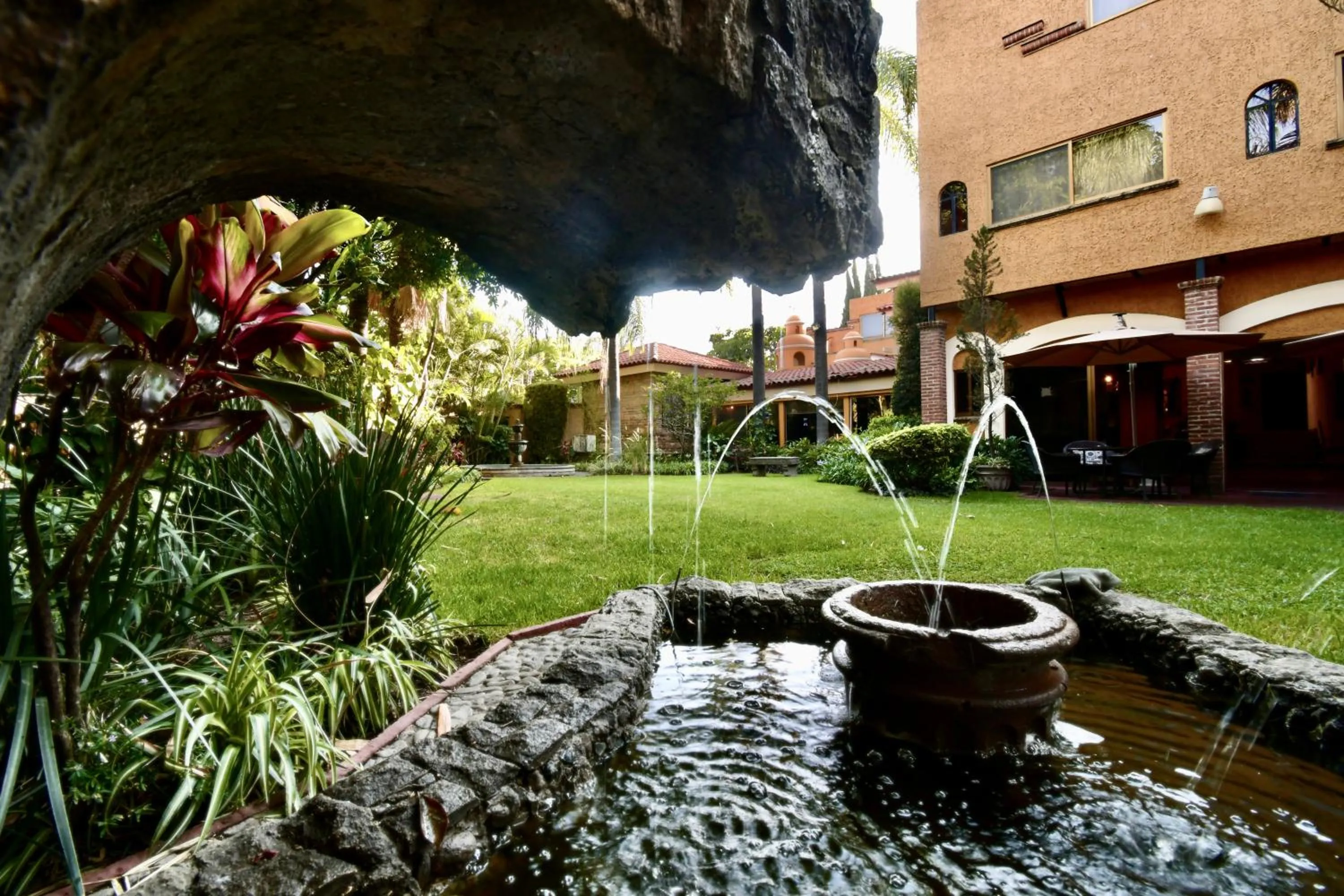 Garden in Hotel La Mansion del Sol