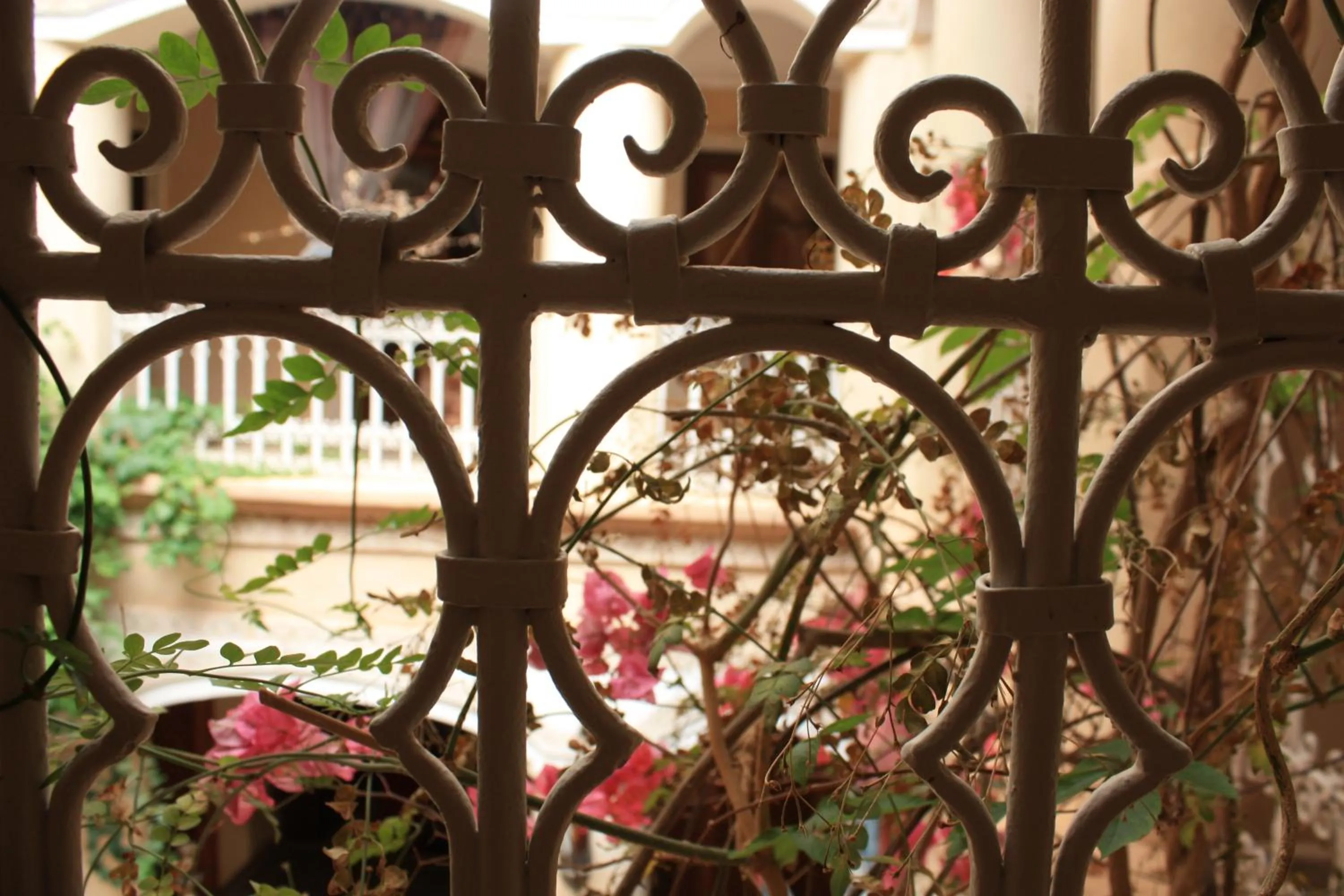 Balcony/Terrace in Riad Lorsya