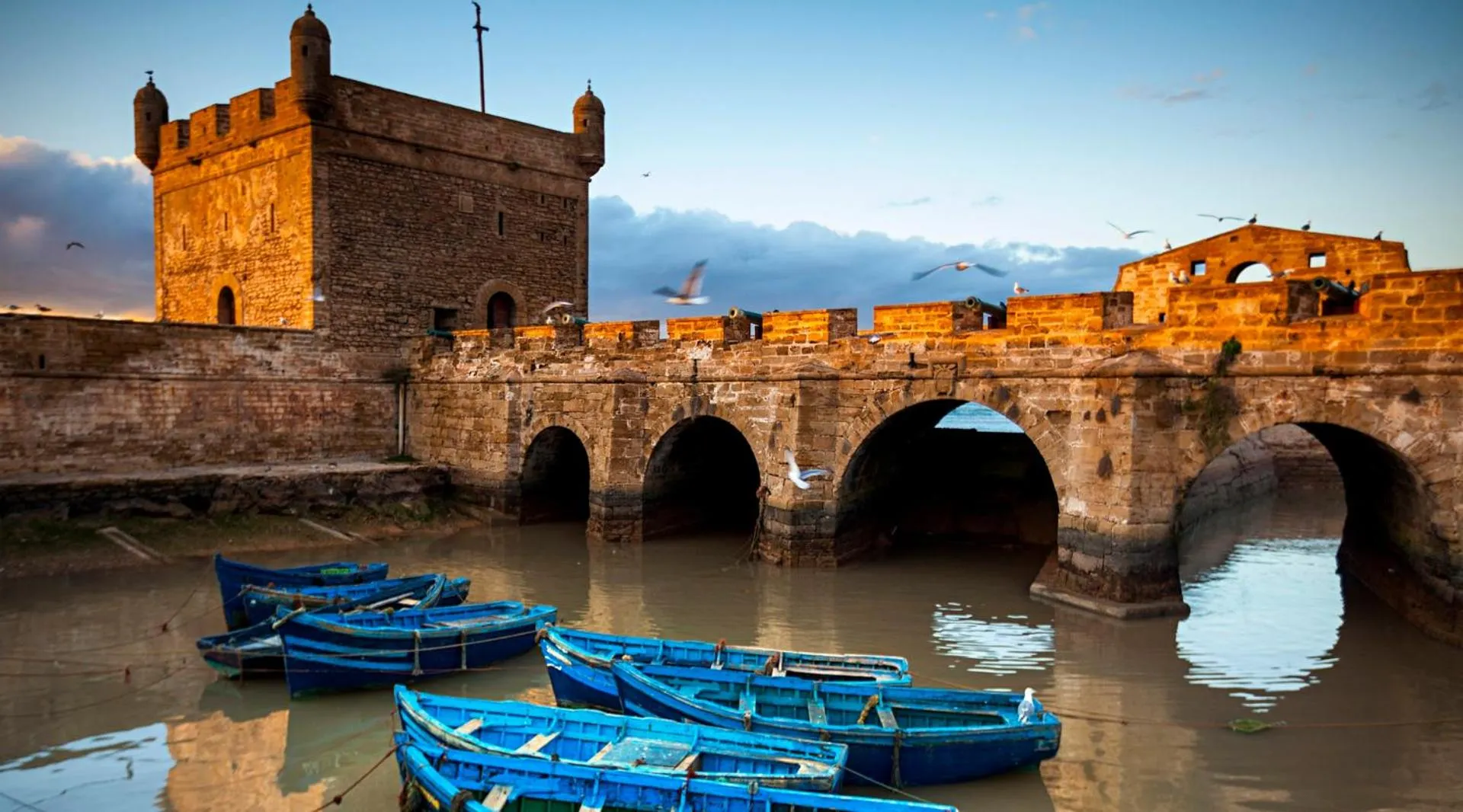 Activities in Riad Lorsya