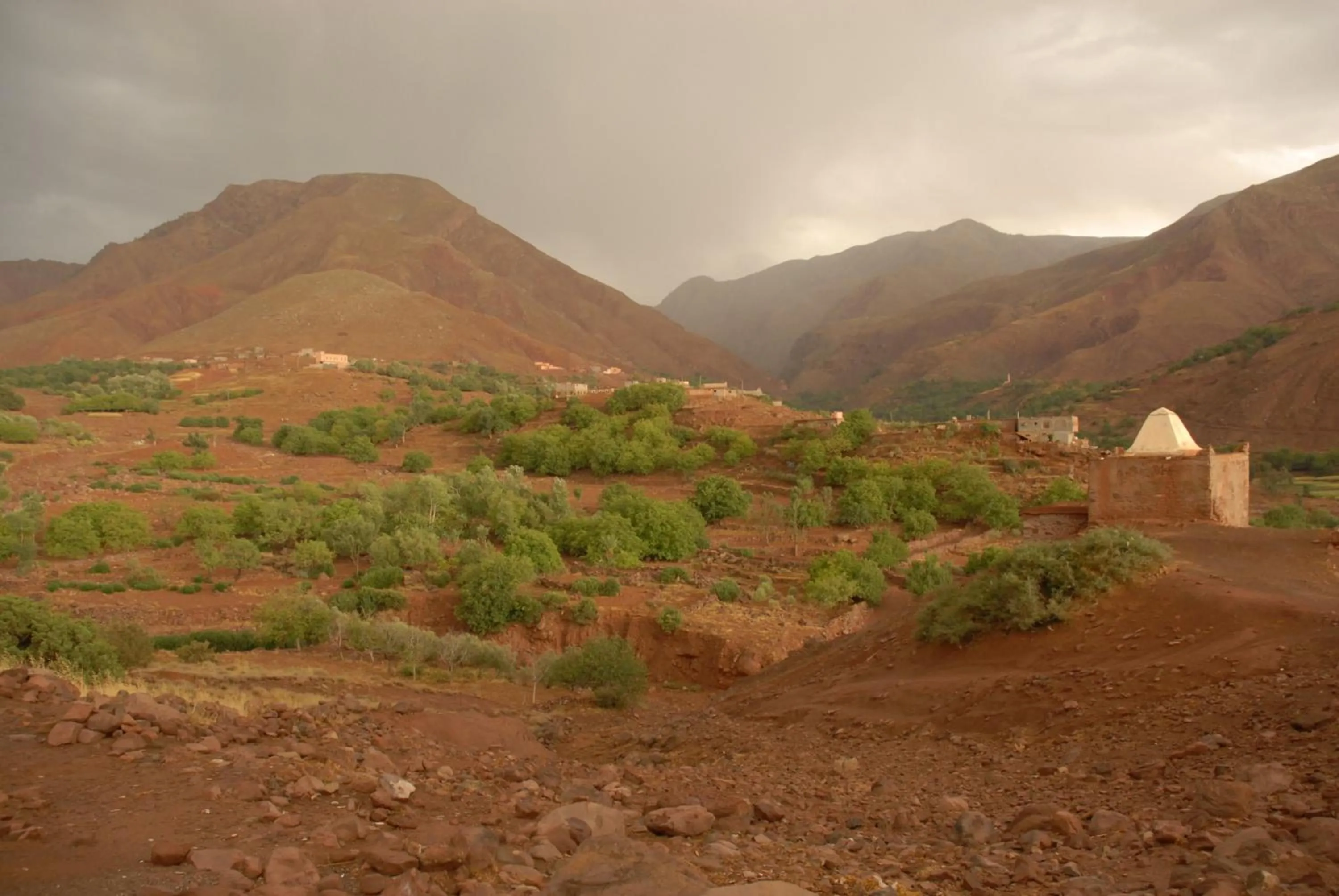 Other in Riad Lorsya