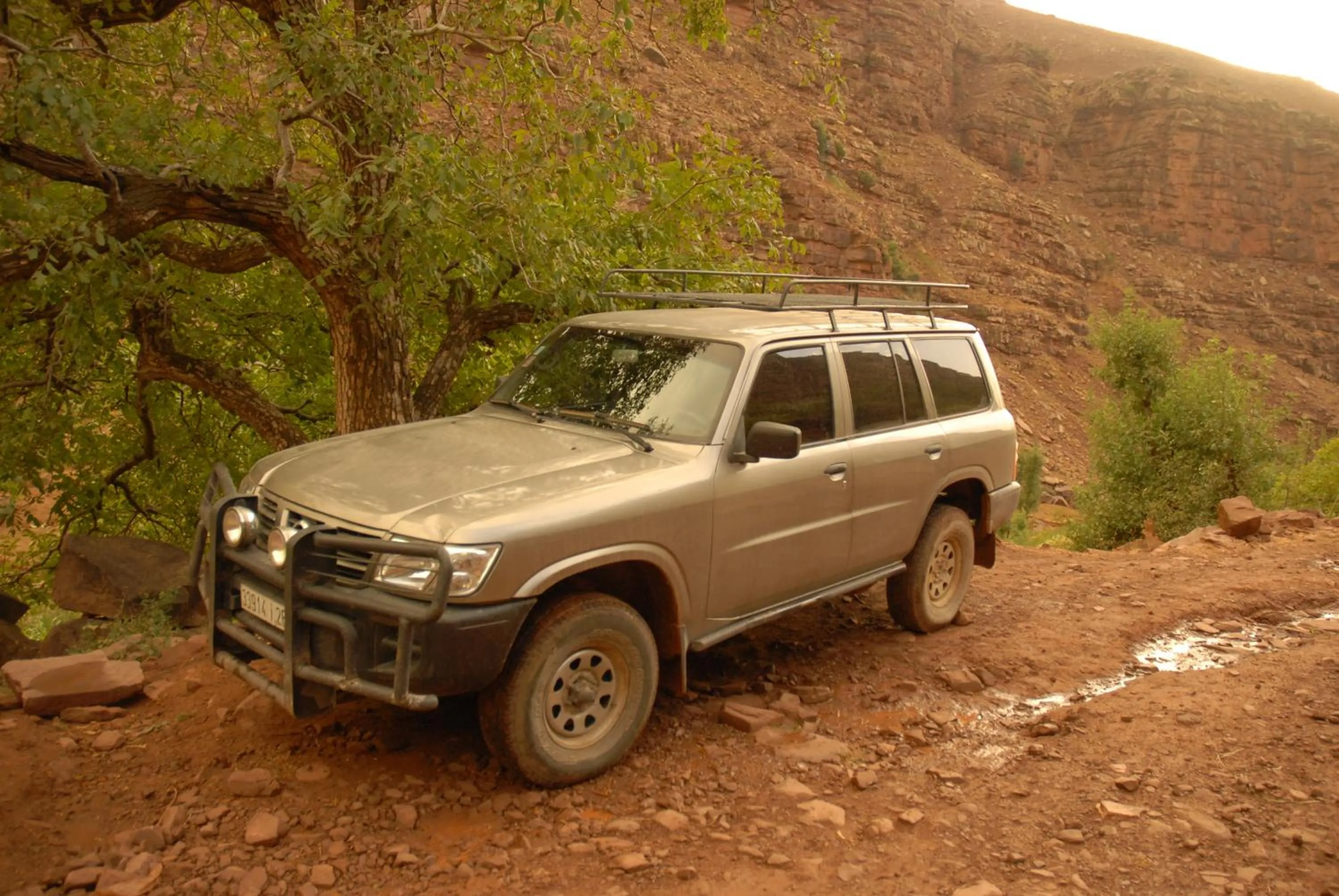 Other in Riad Lorsya