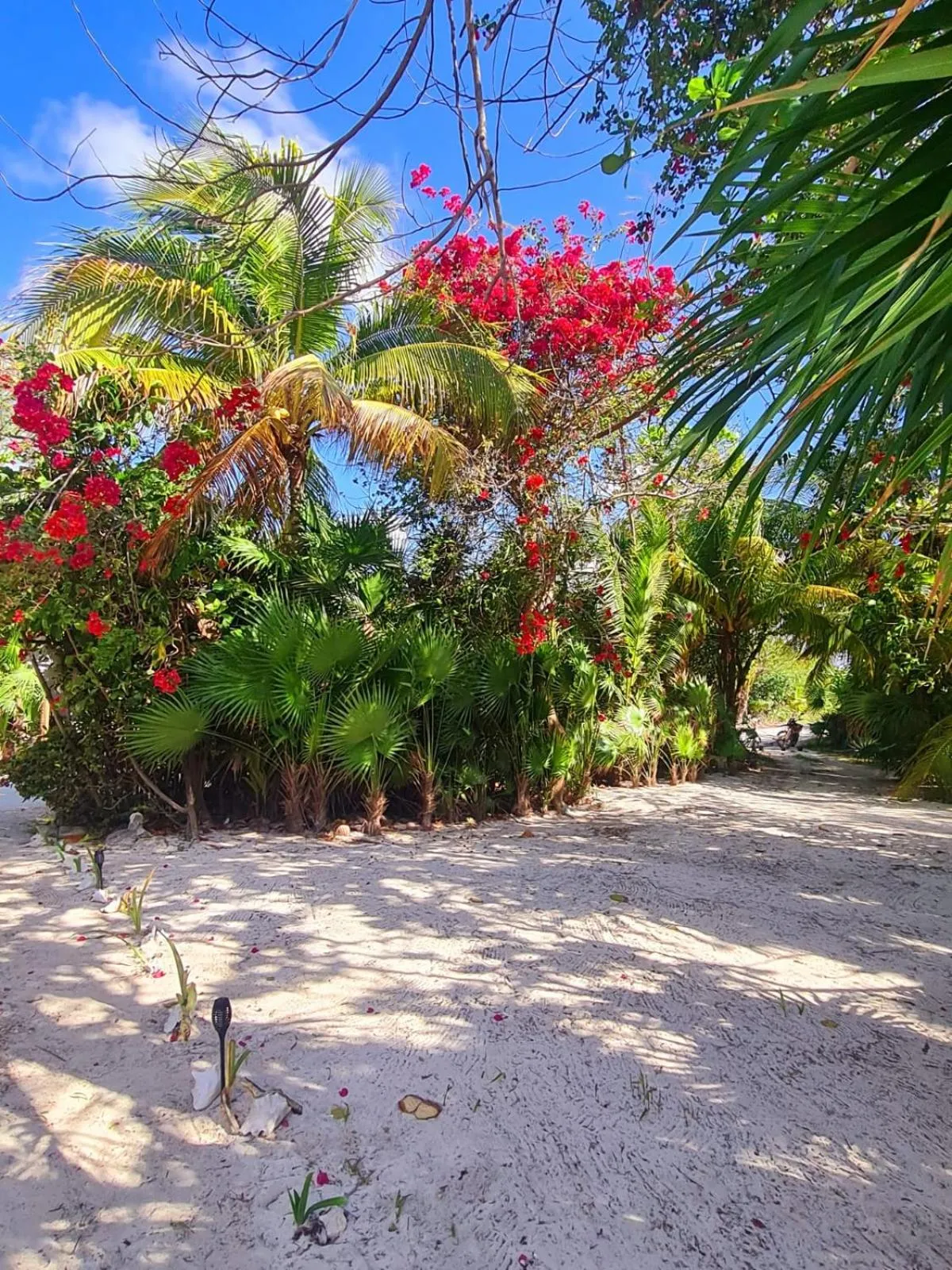 Garden in Hotel Maya Luna Adults Only