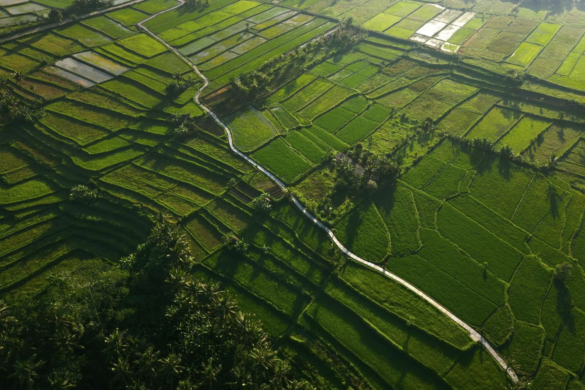 Nearby landmark in COMO Shambhala Estate
