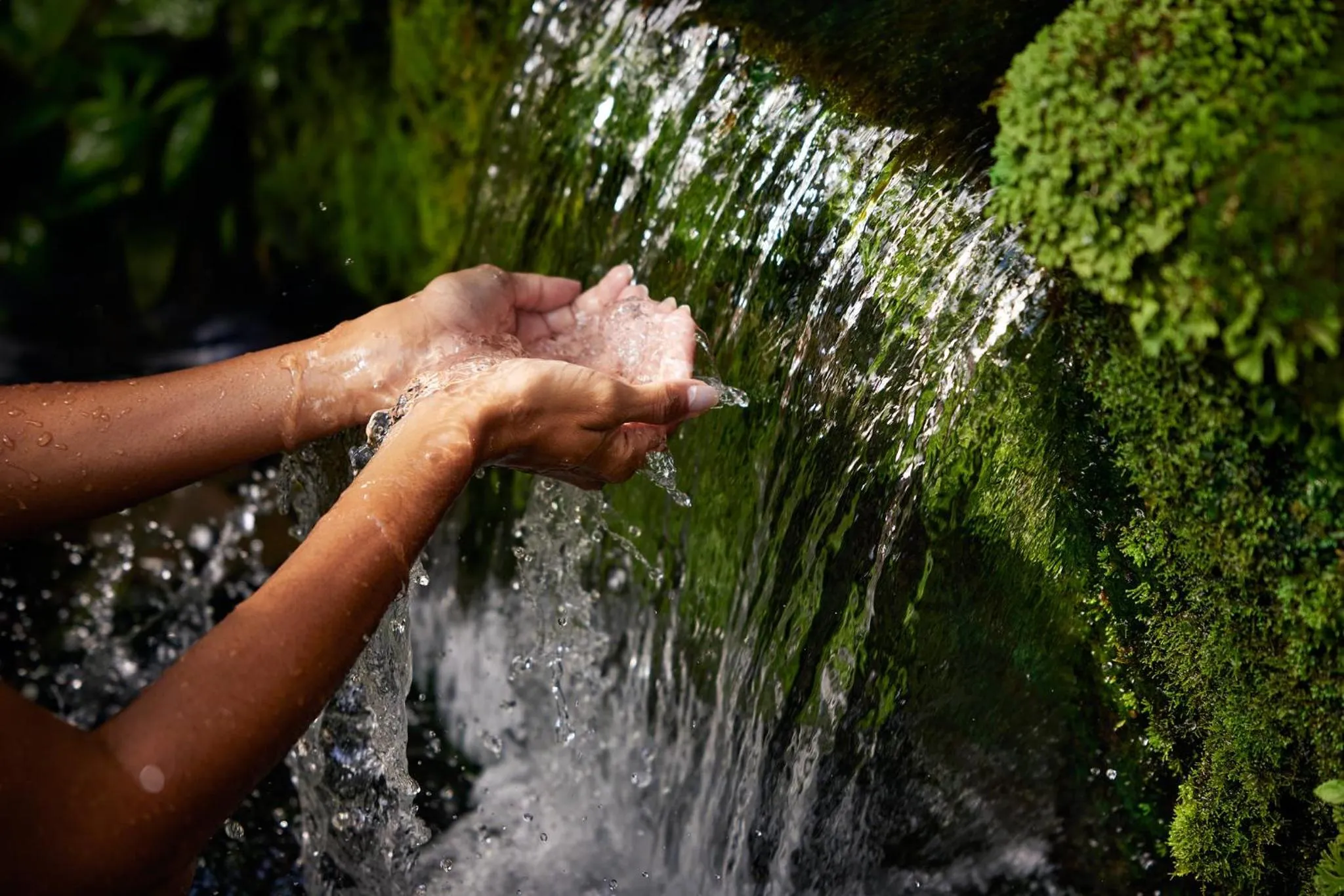 Property building in COMO Shambhala Estate