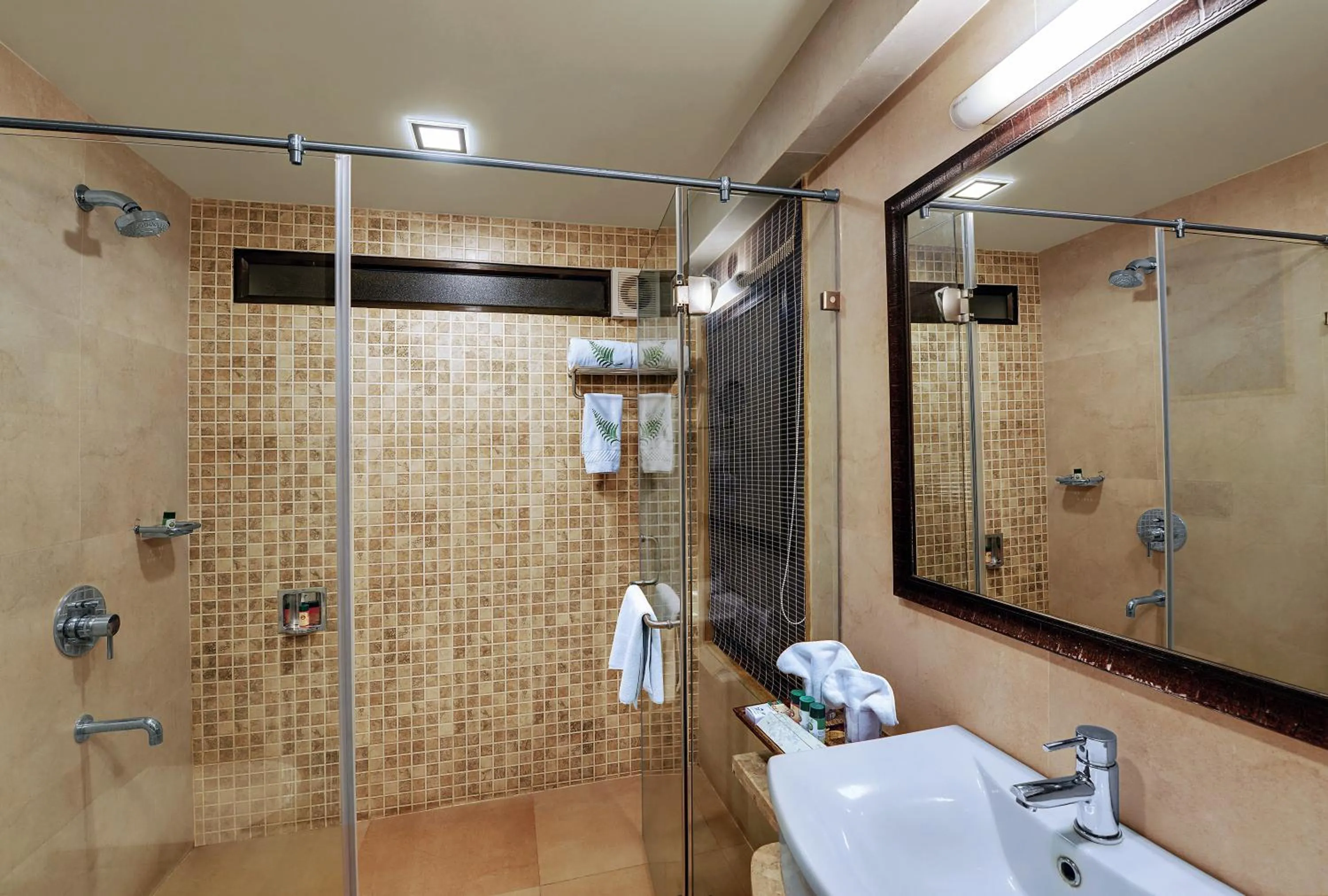 Bathroom in The Fern Gir Forest Resort, Sasan Gir - A Fern Crown Collection Resort