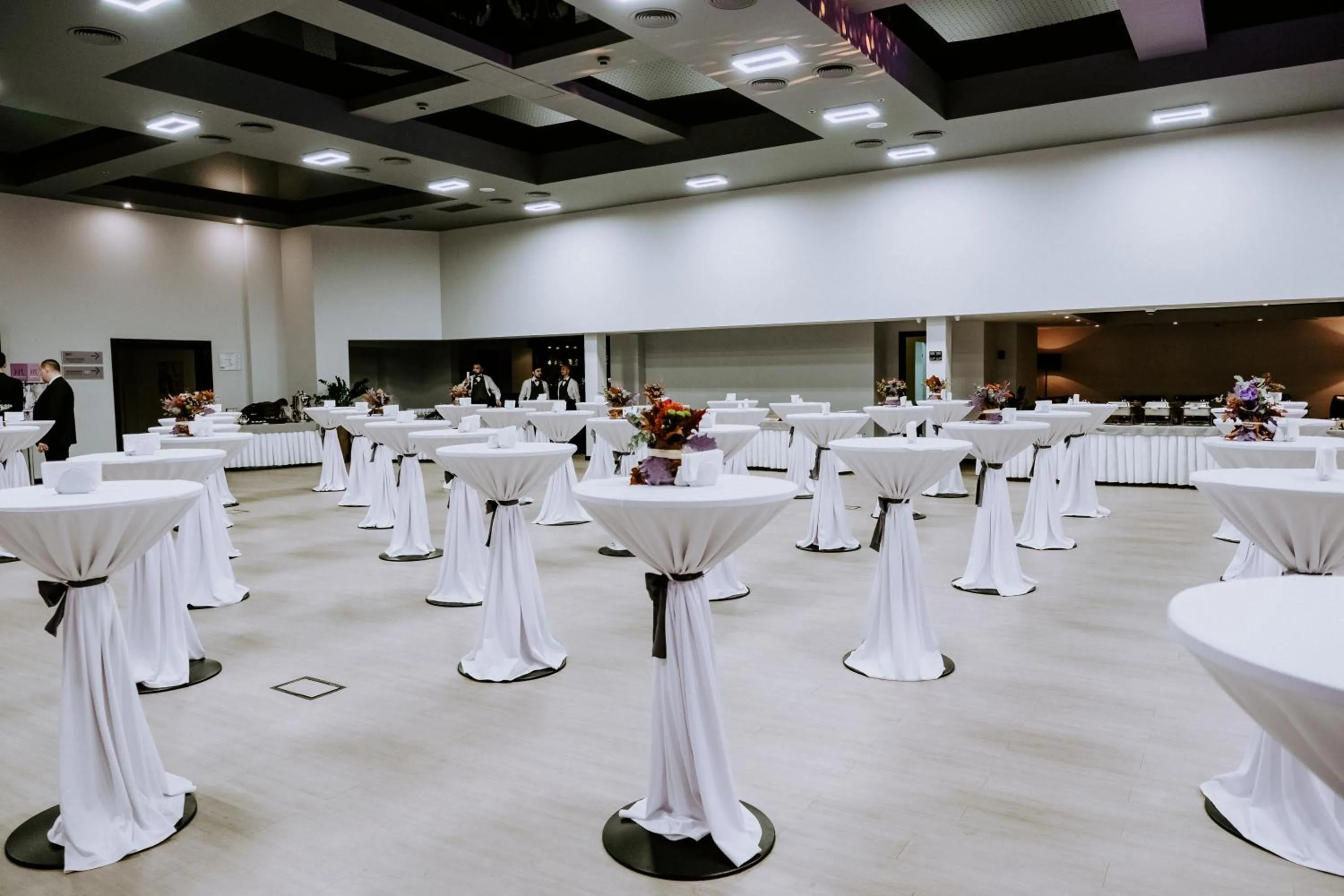 Business facilities in Mercure Kyiv Congress