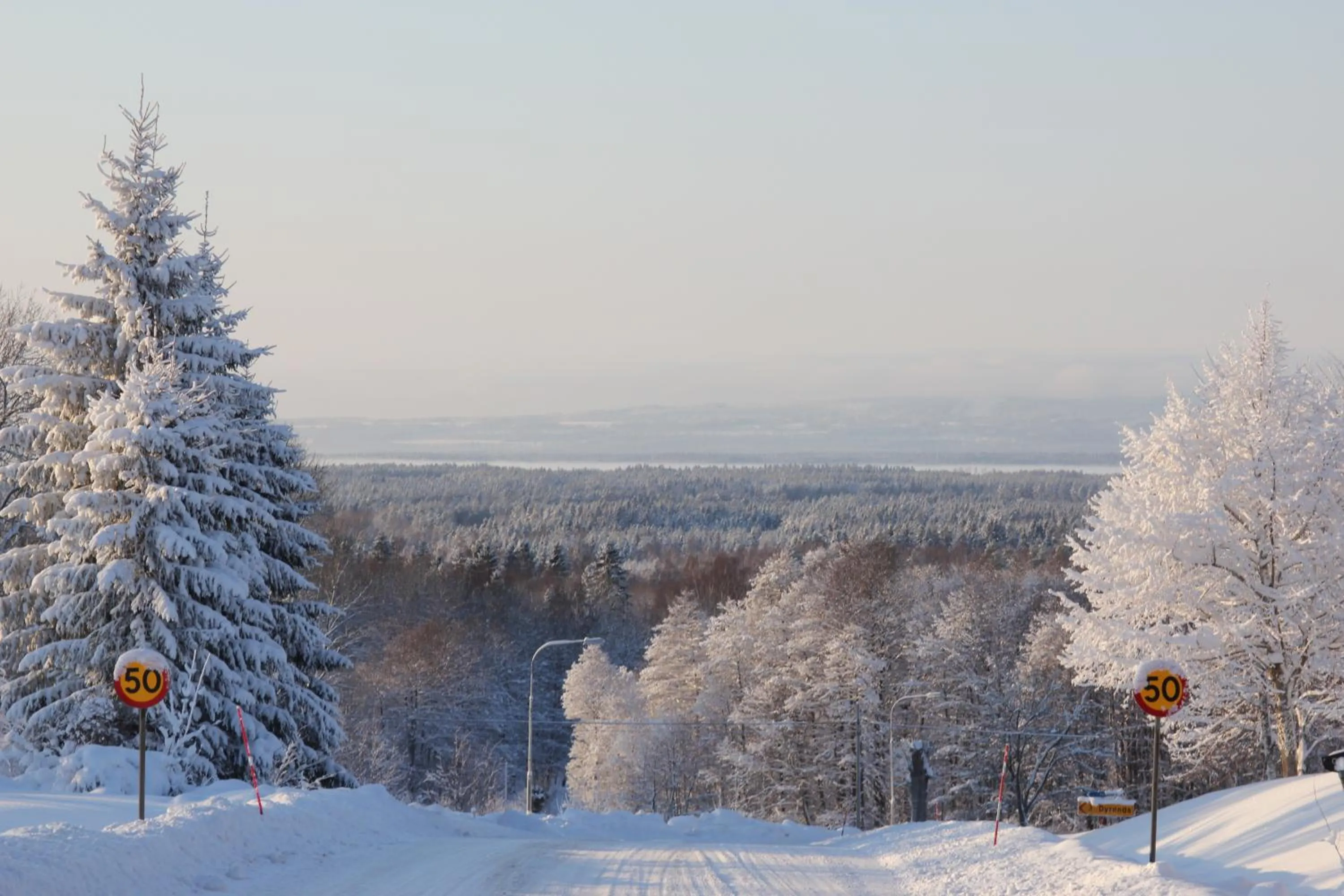 View (from property/room) in Lugnåsberget Ekohotell