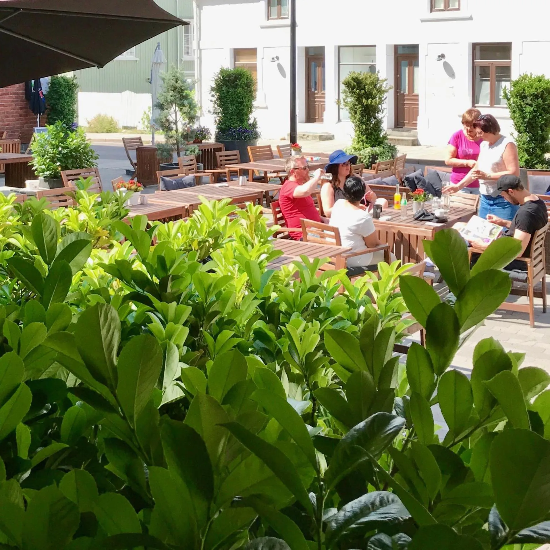 Garden in Reenskaug Hotel