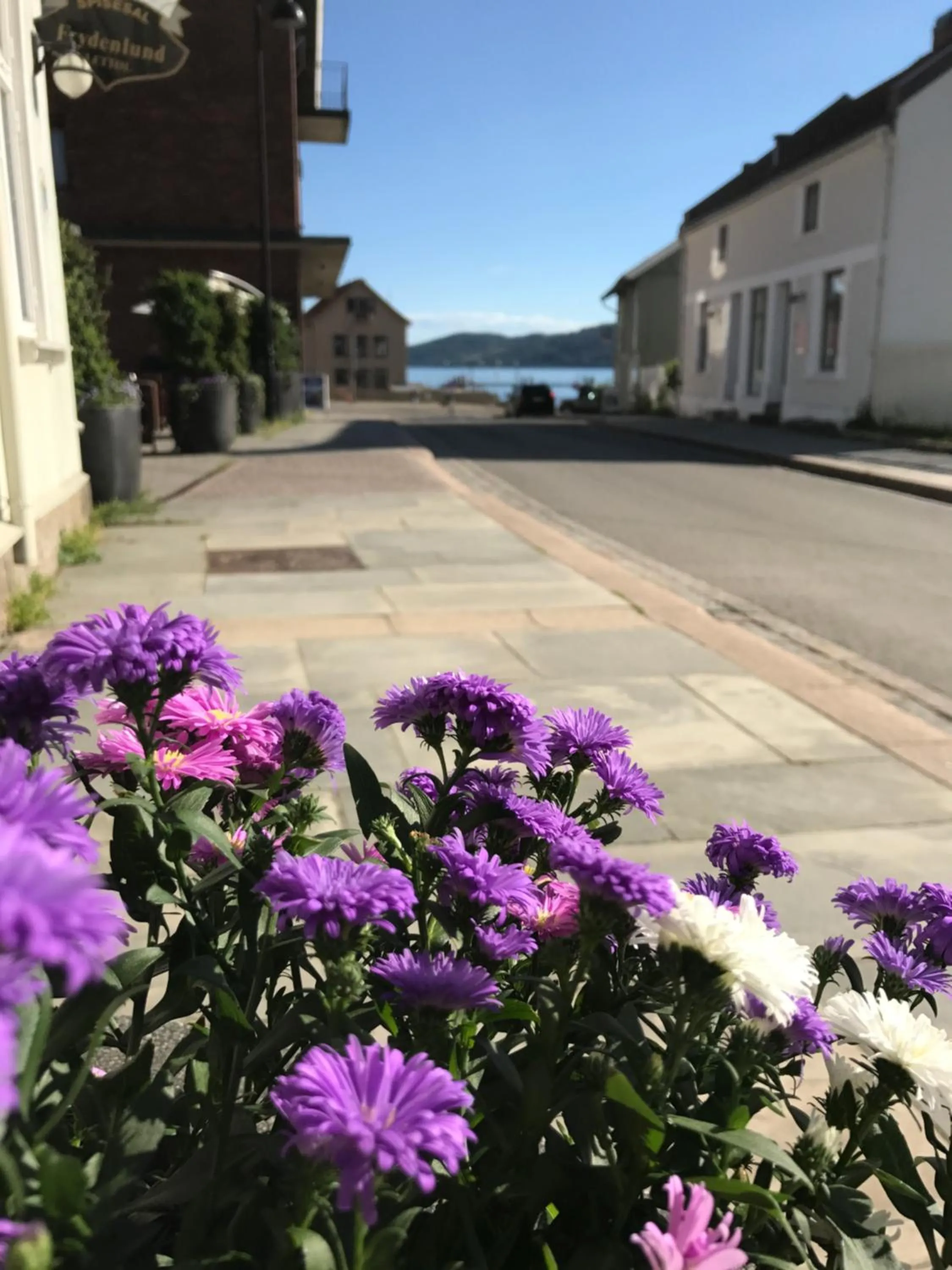 Summer in Reenskaug Hotel