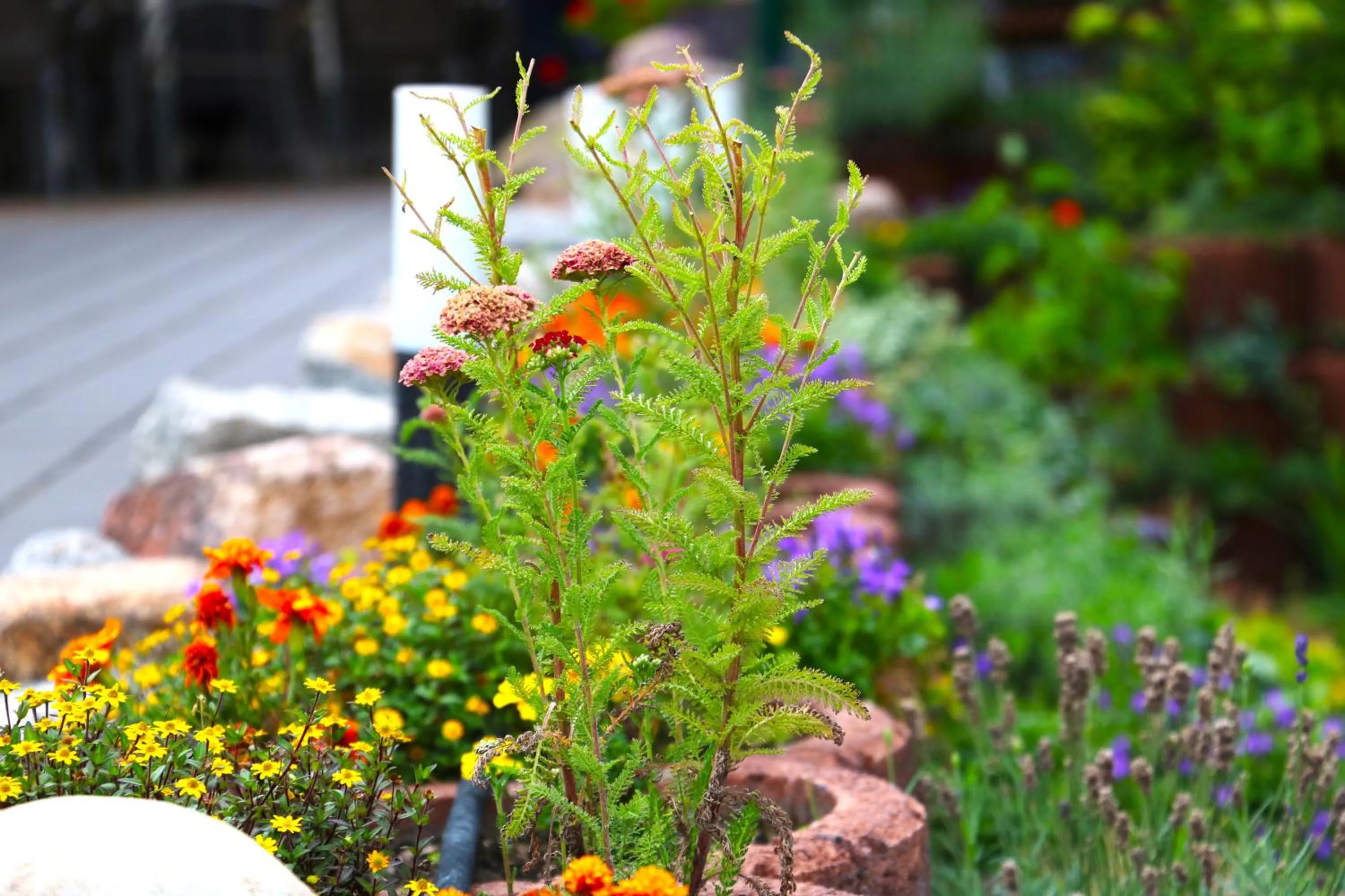 Patio in Hotel Markgraf
