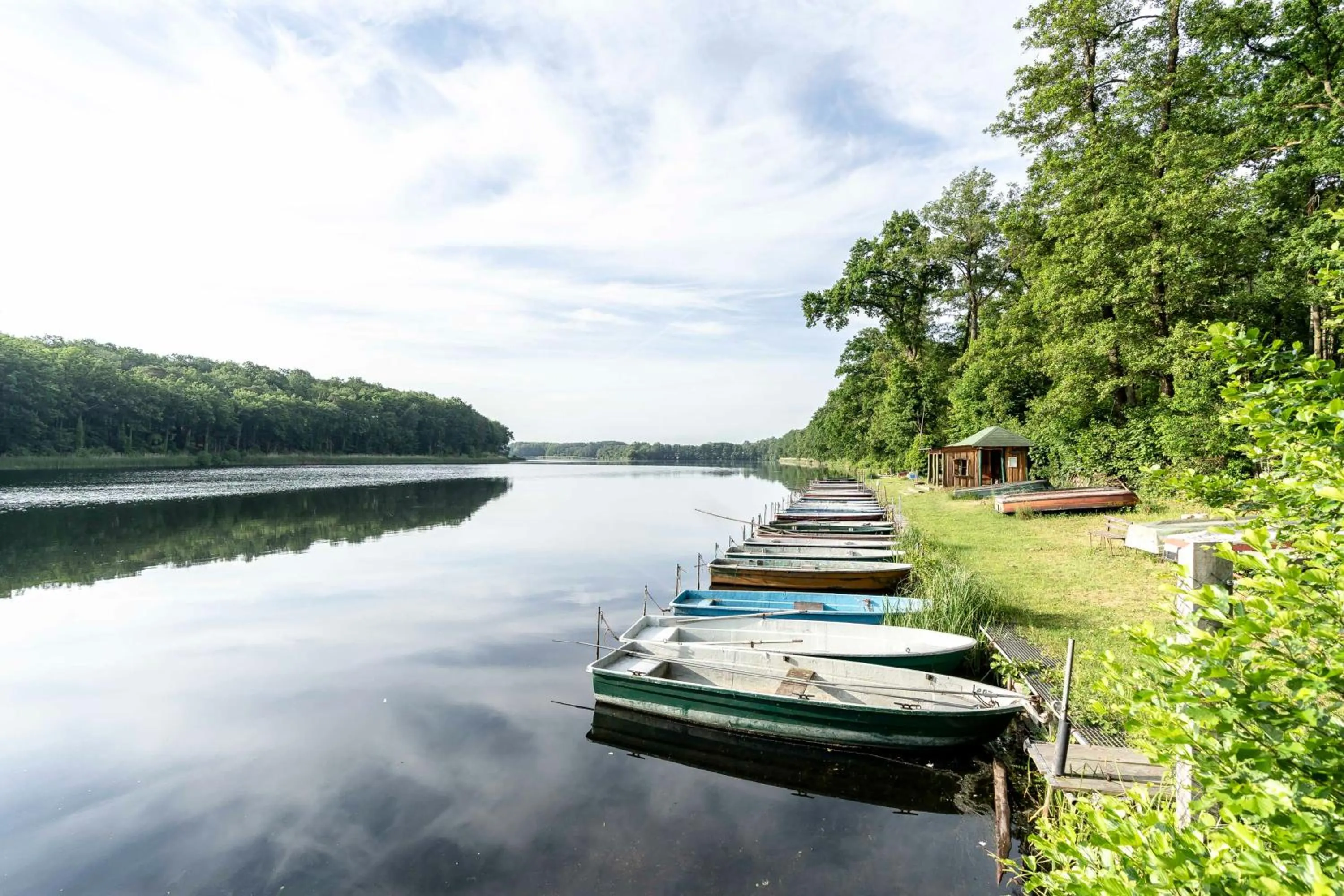 Natural landscape in Hotel Markgraf