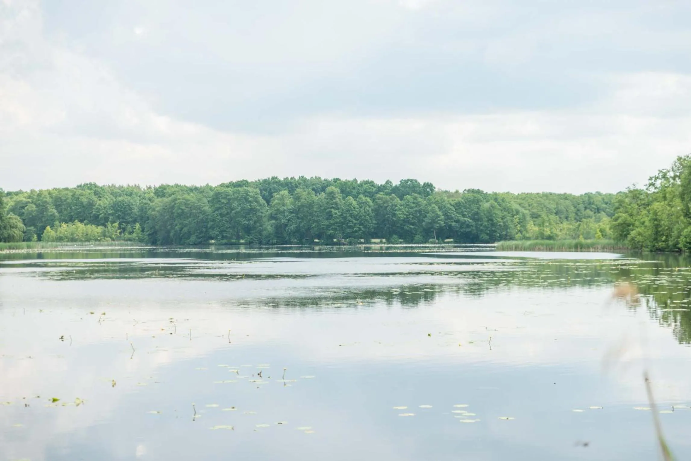 Day in Hotel Markgraf