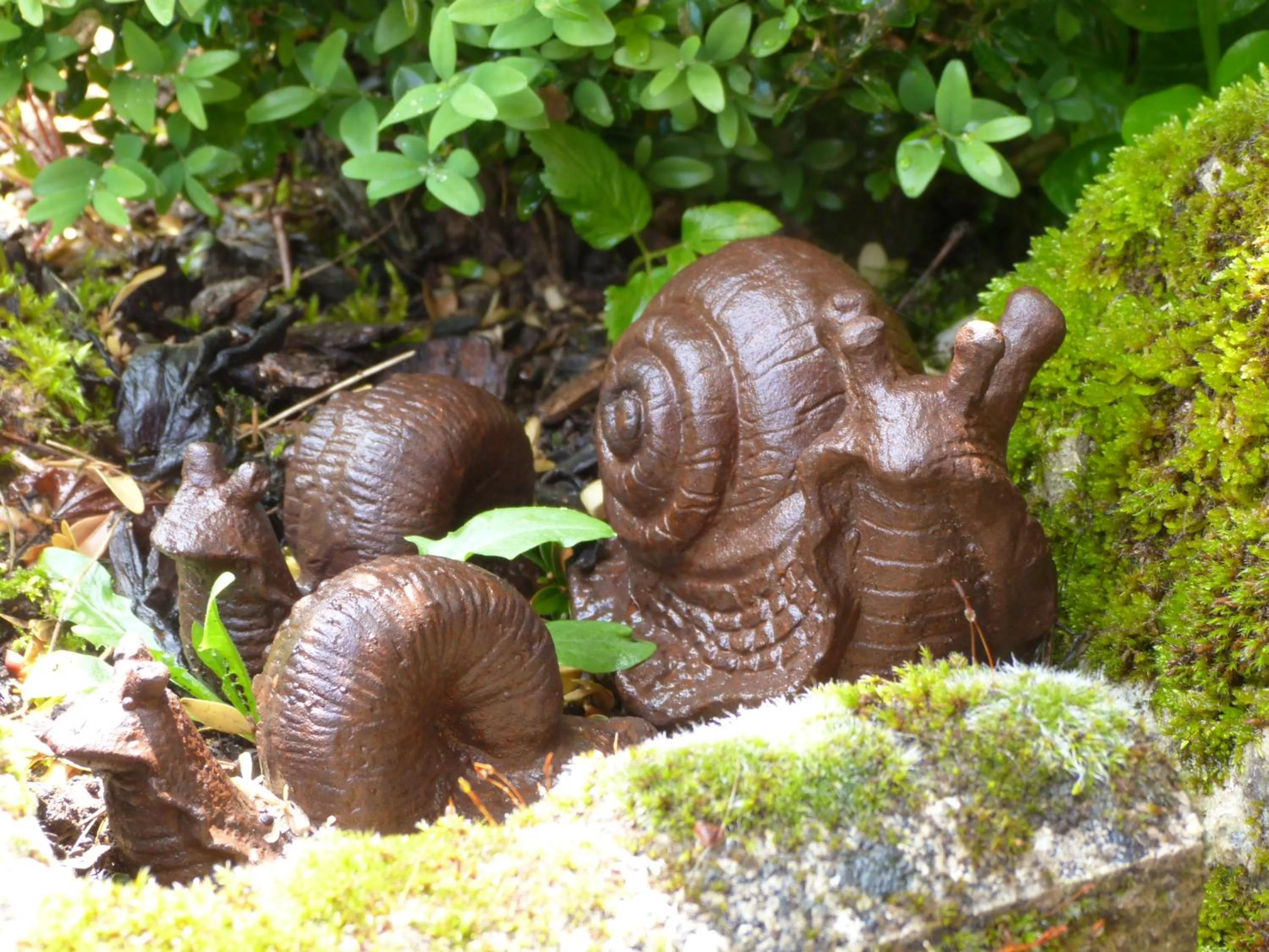 B&B Les Hauts d'Ornans