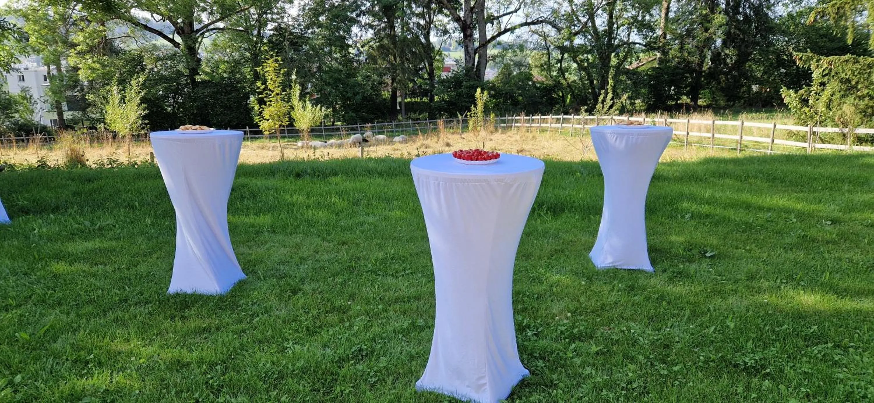 Garden in La Ferme des Arêtes