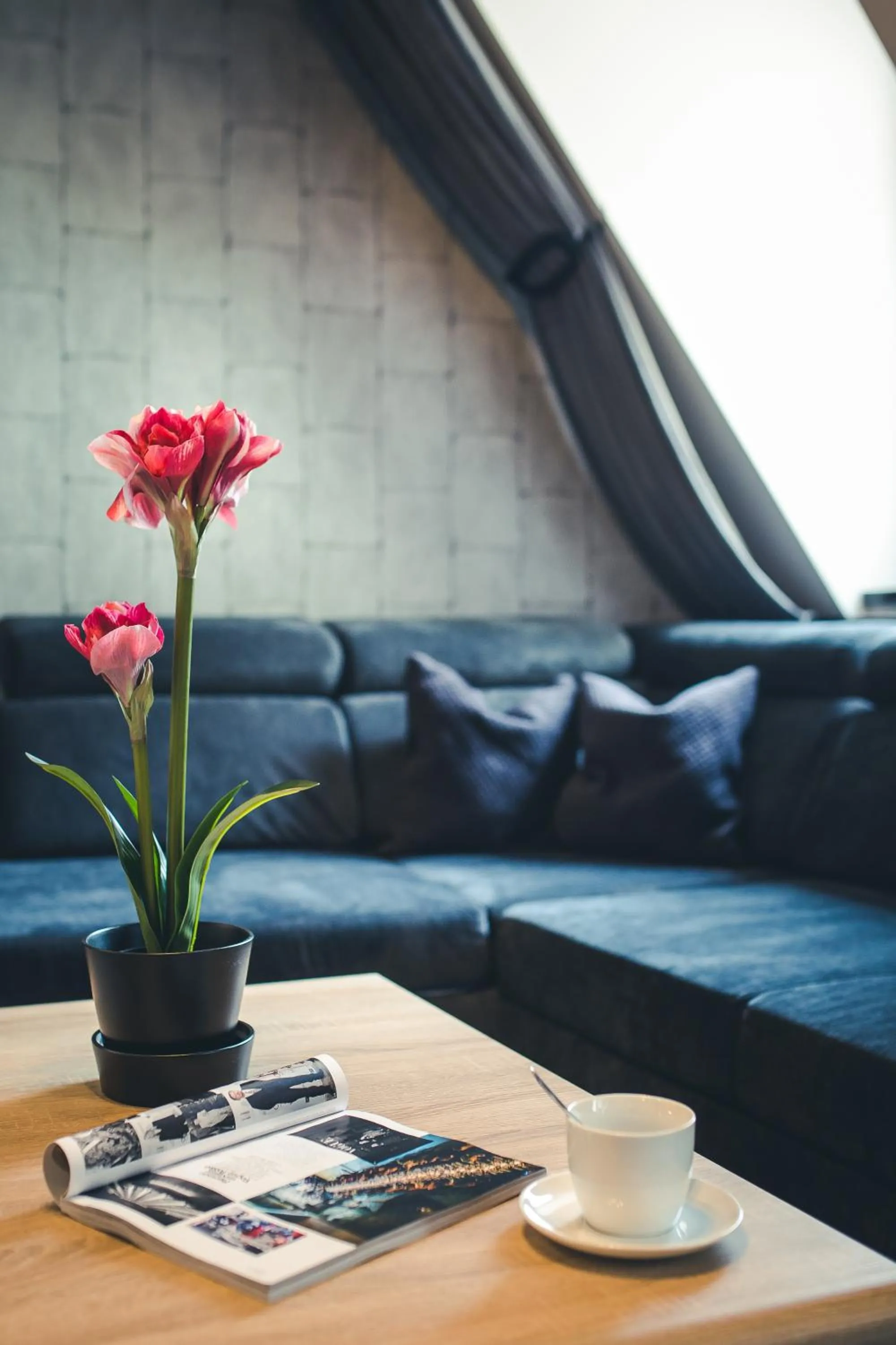 Living room in Aparthotel New Lux