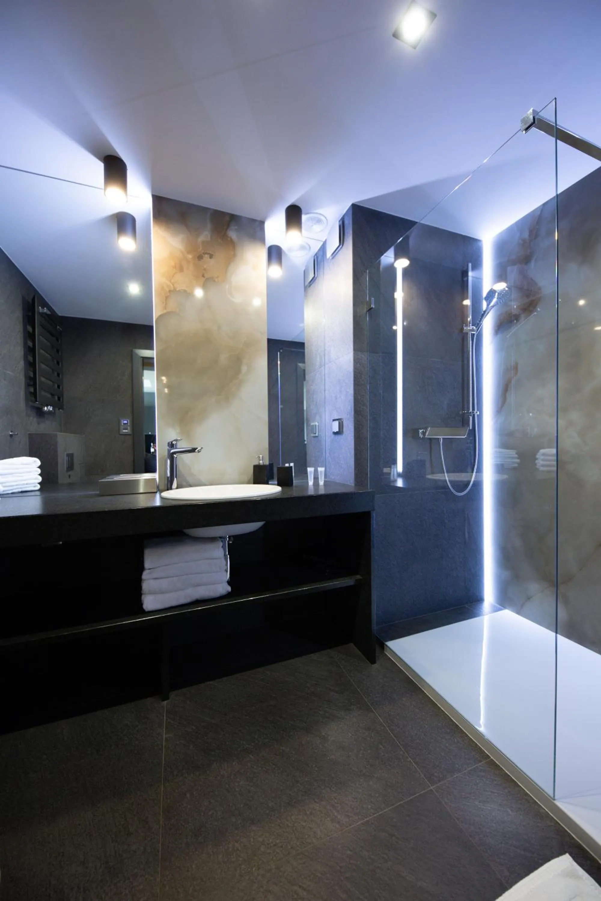 Shower in Aparthotel New Lux