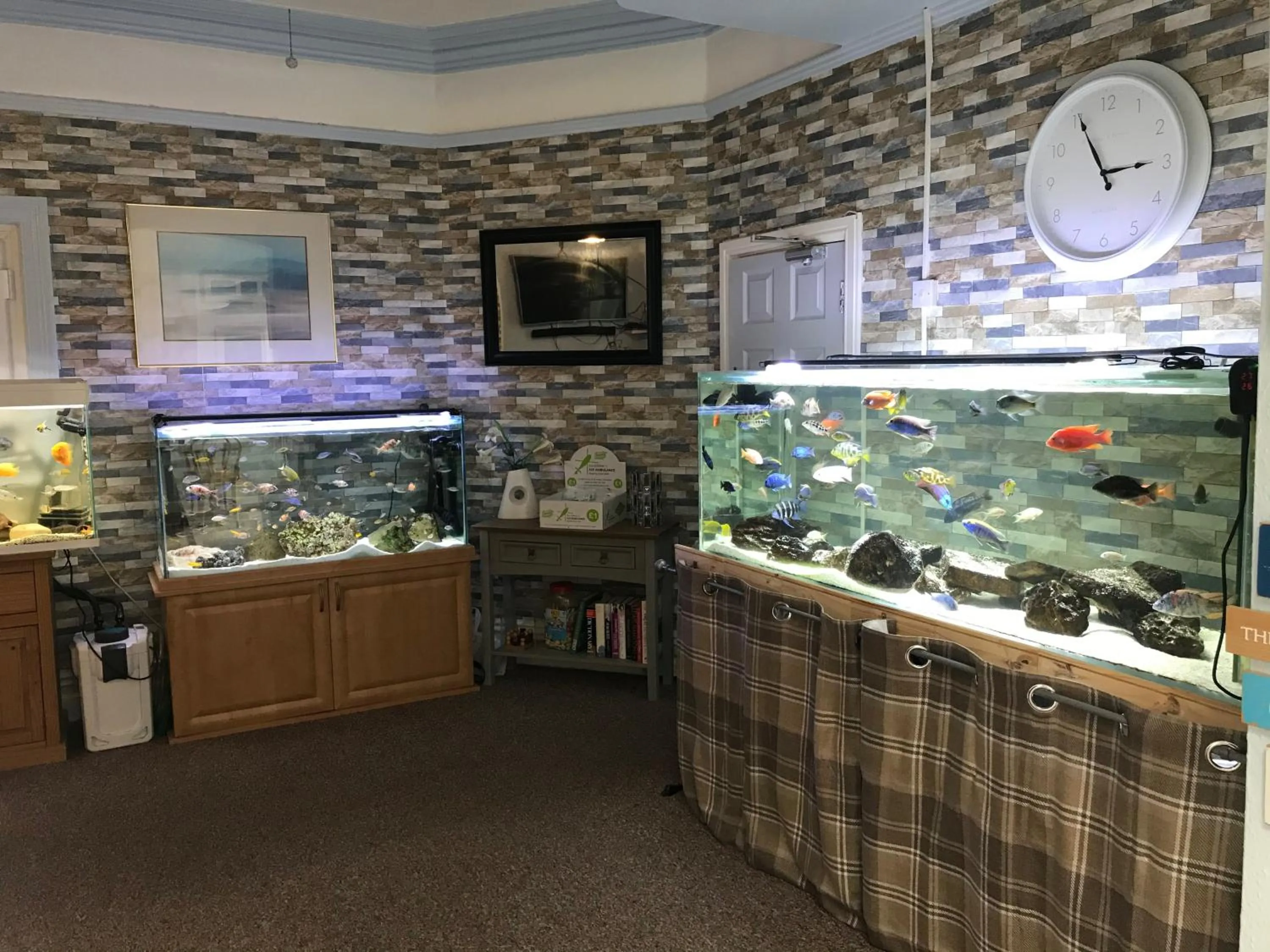 Communal lounge/ TV room in The Craigside