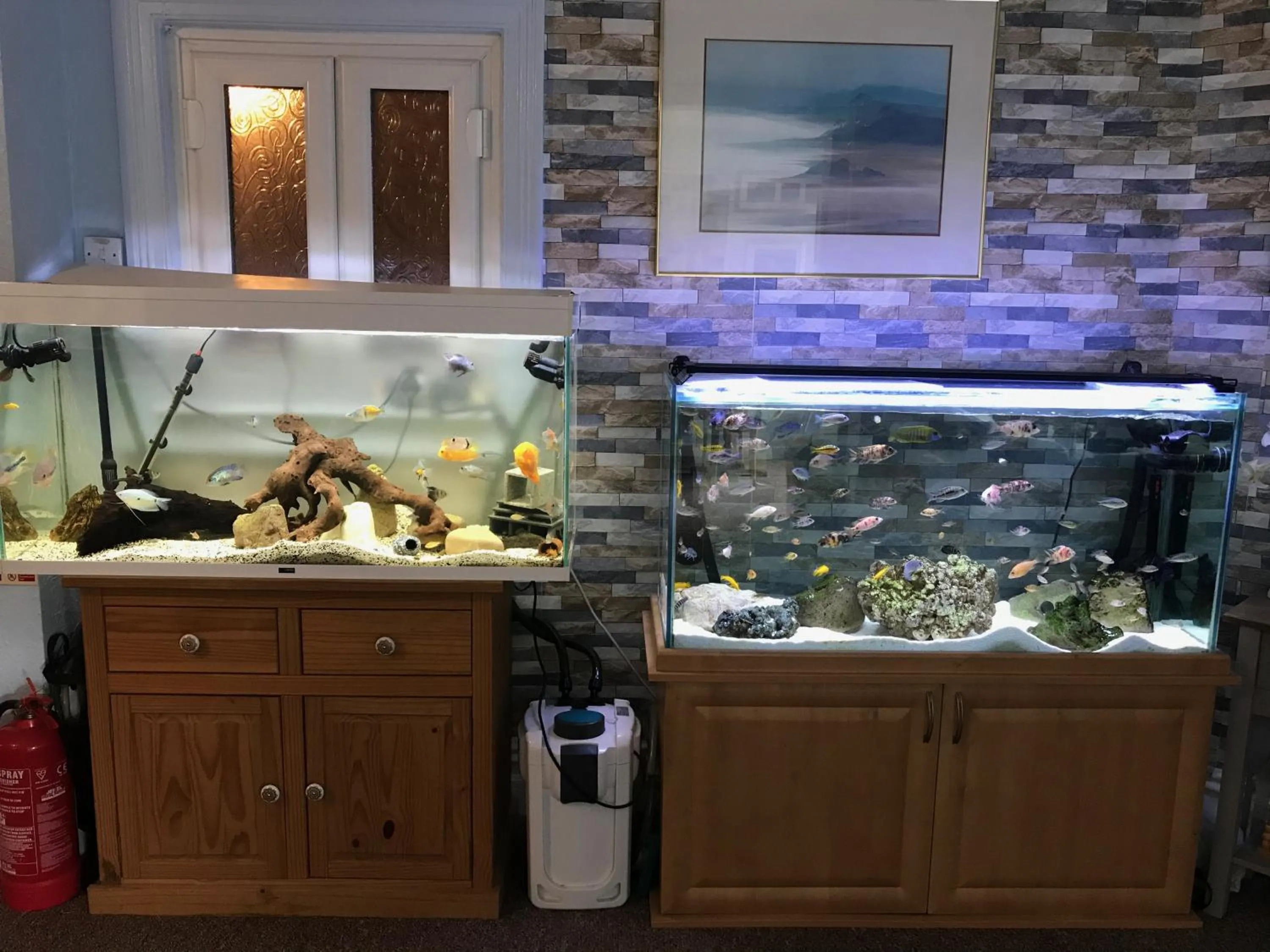 Communal lounge/ TV room in The Craigside