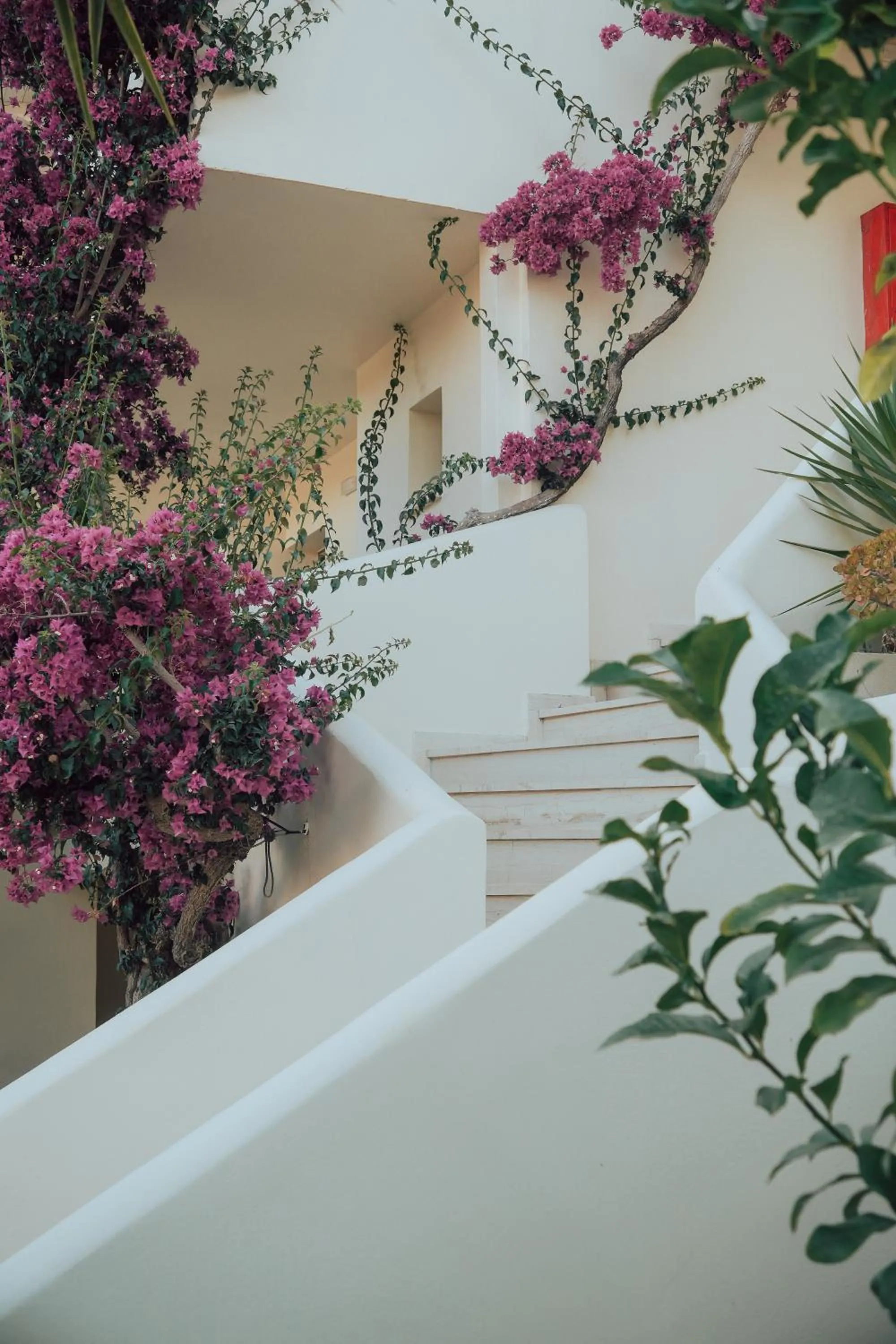 Property building in Tsamis Zante Suites