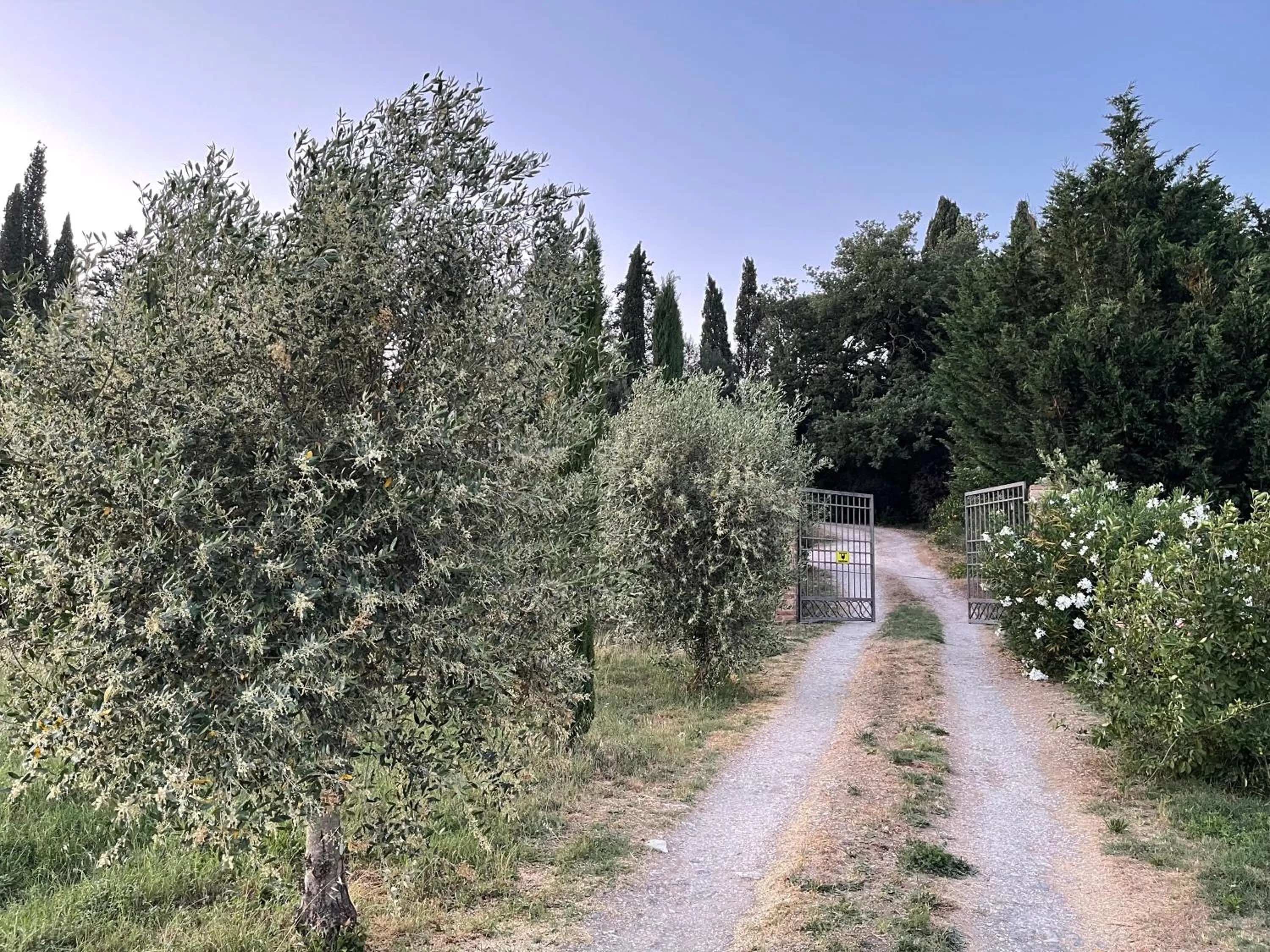 Natural landscape in Al Giardino Degli Etruschi