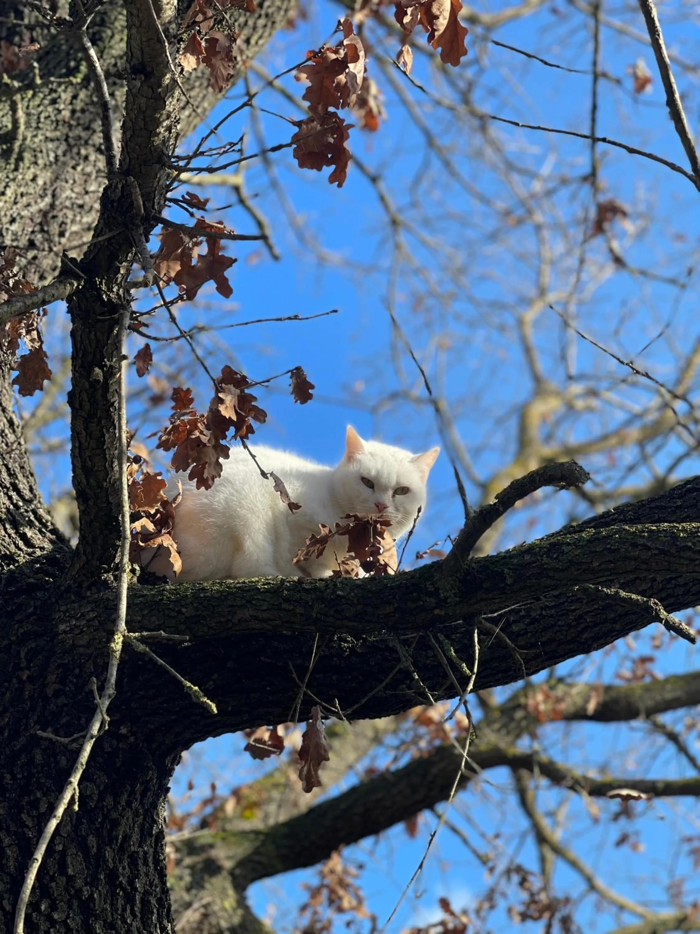 Animals in Al Giardino Degli Etruschi