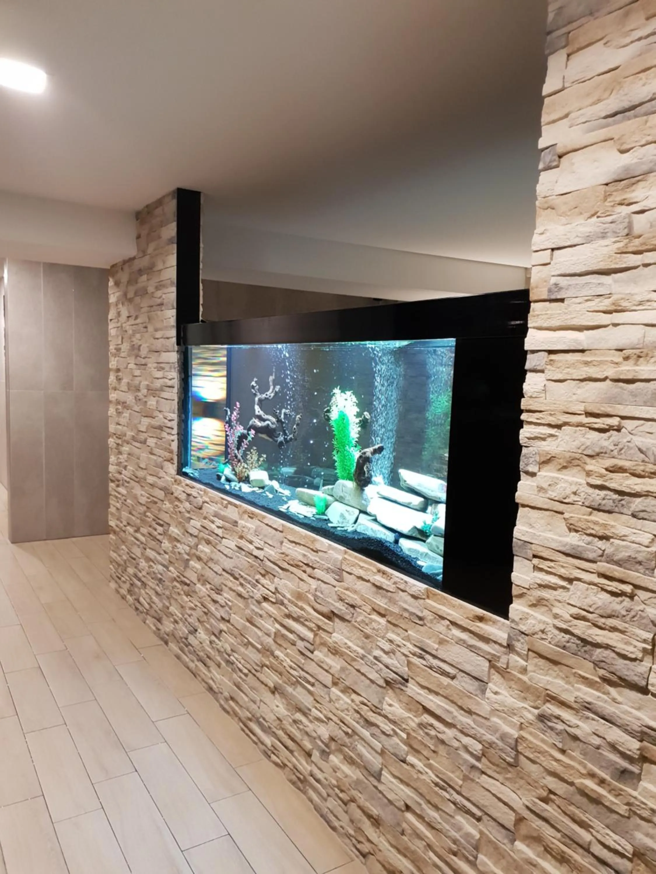 Spa and wellness centre/facilities in Hotel Alf