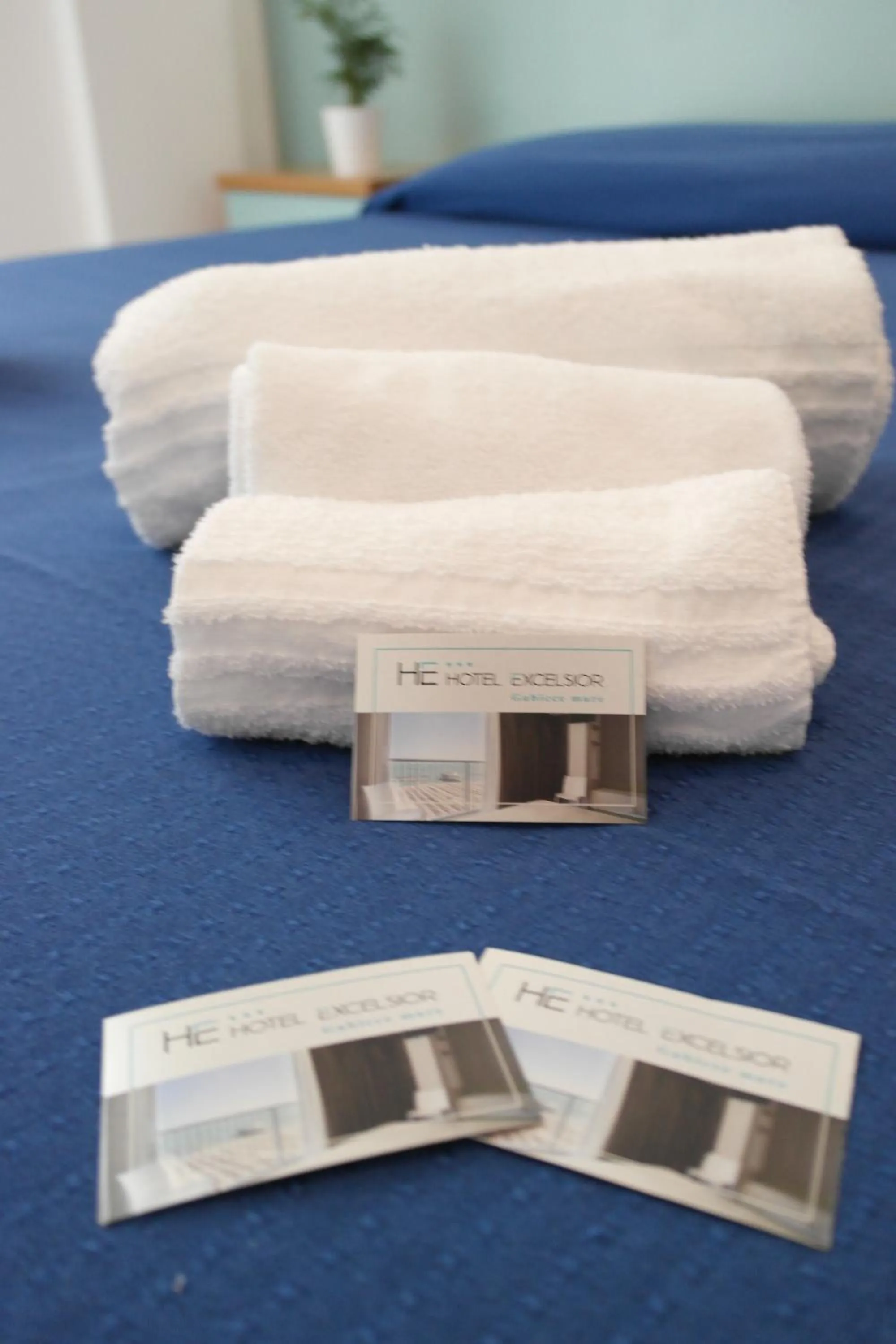 Bed in Hotel Excelsior