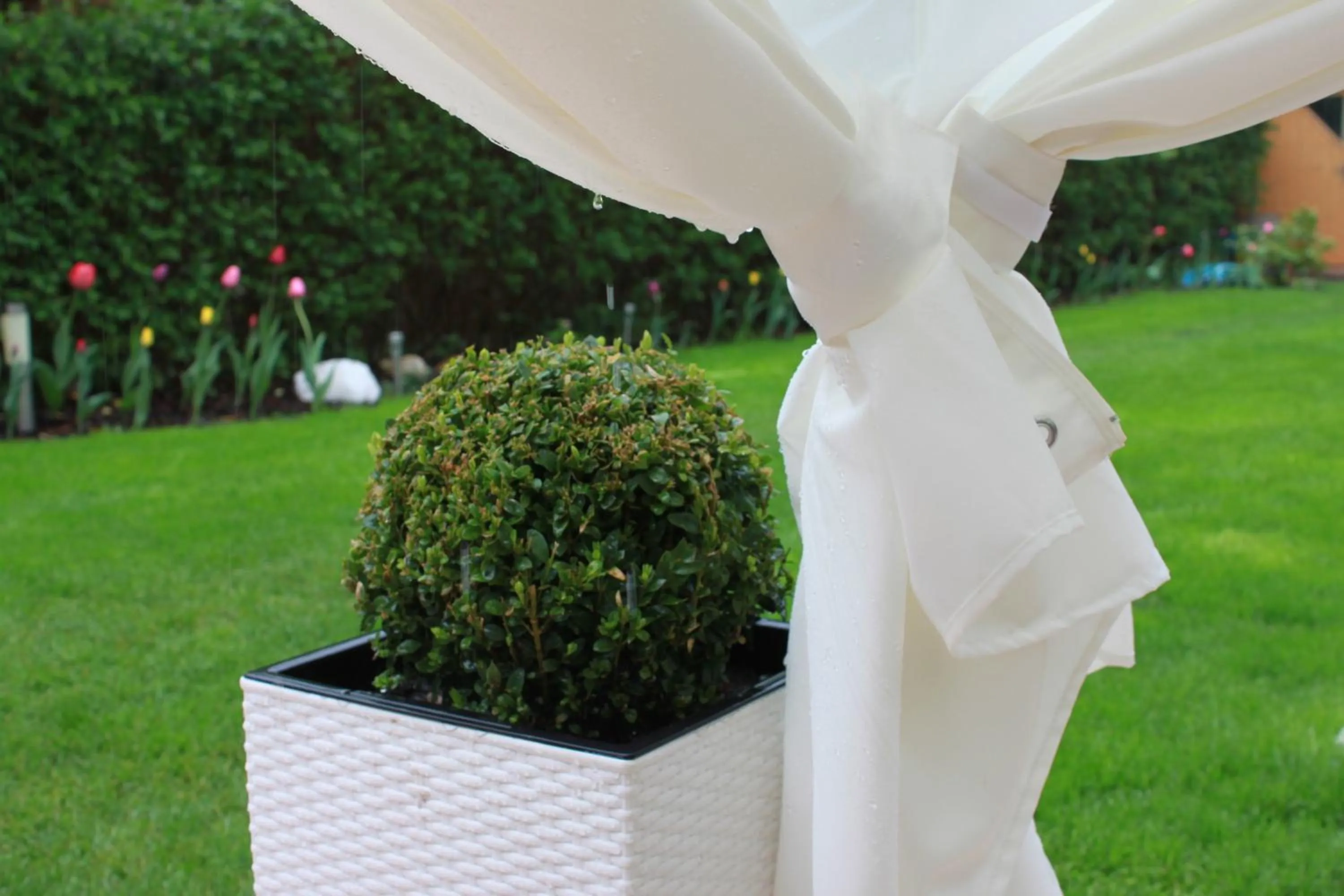 Garden in Penzion Janka