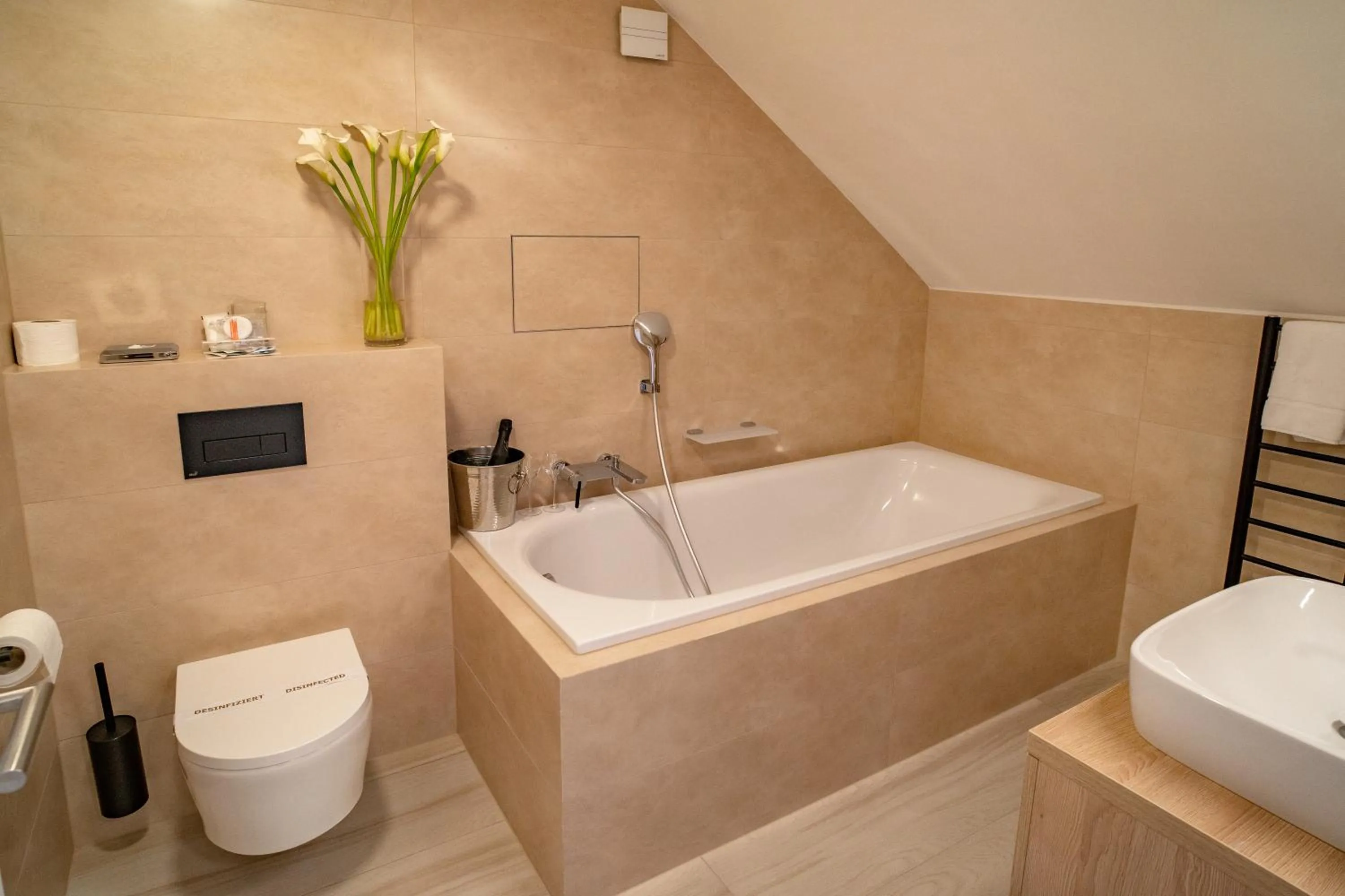 Toilet in Hotel U Kaplicky