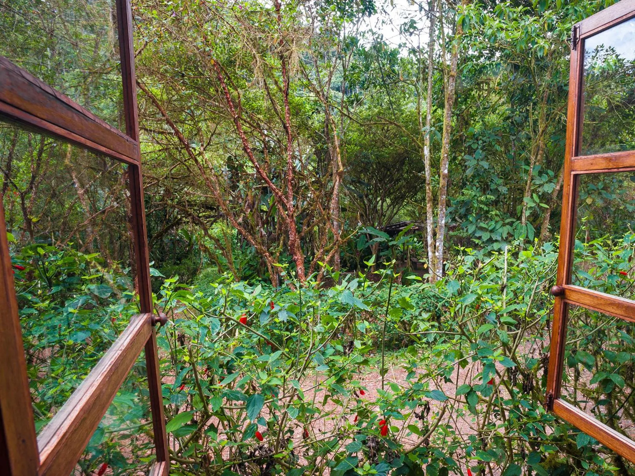 Garden view in El Septimo Paraiso