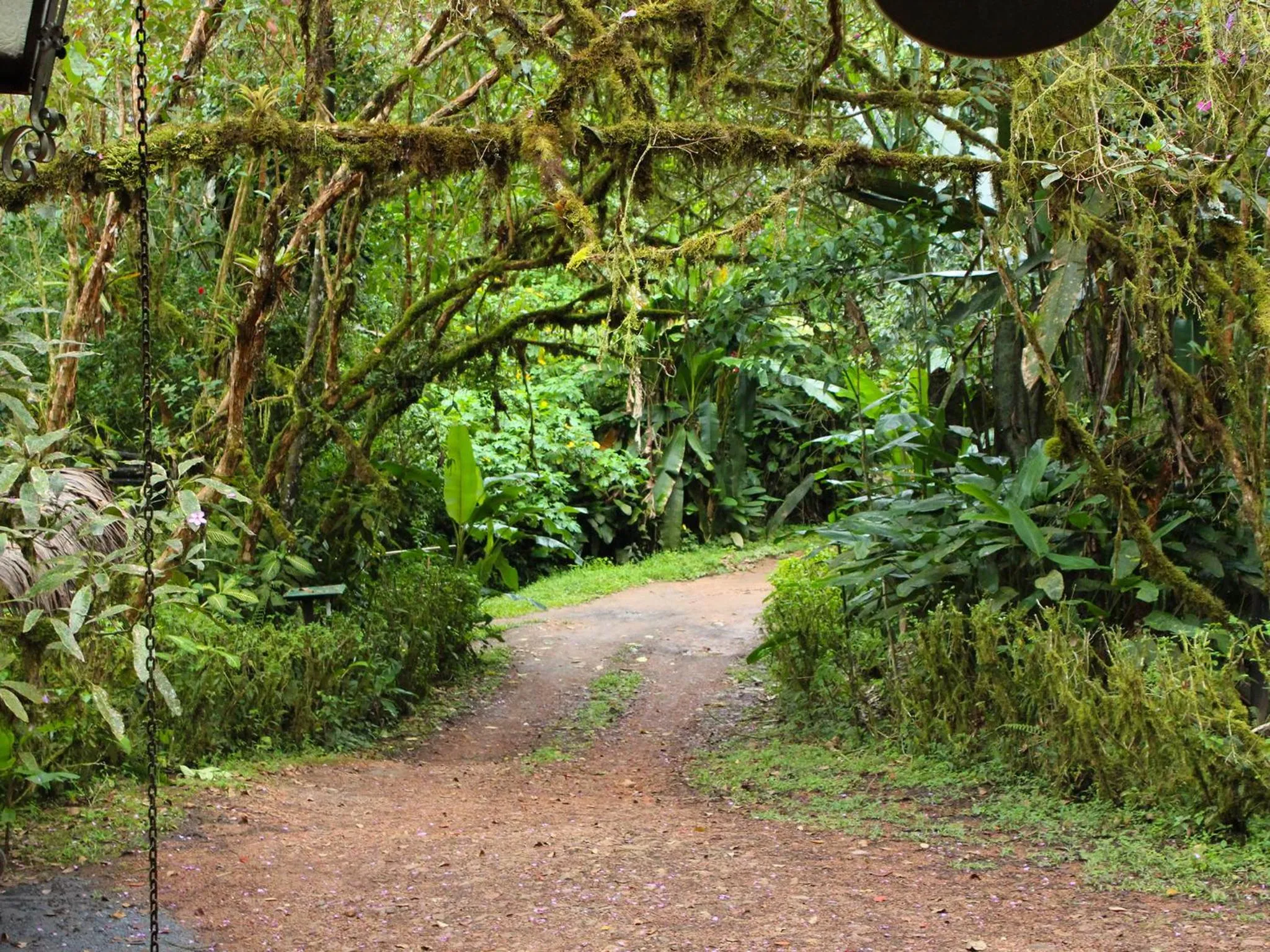 Bird's eye view in El Septimo Paraiso