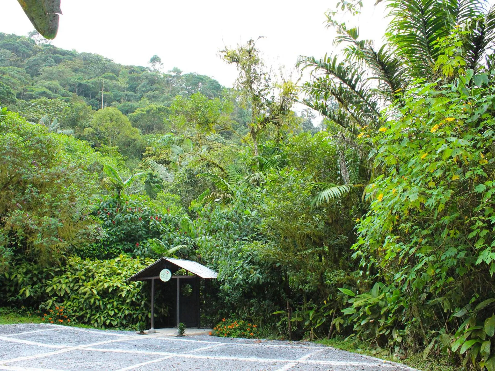 Area and facilities in El Septimo Paraiso